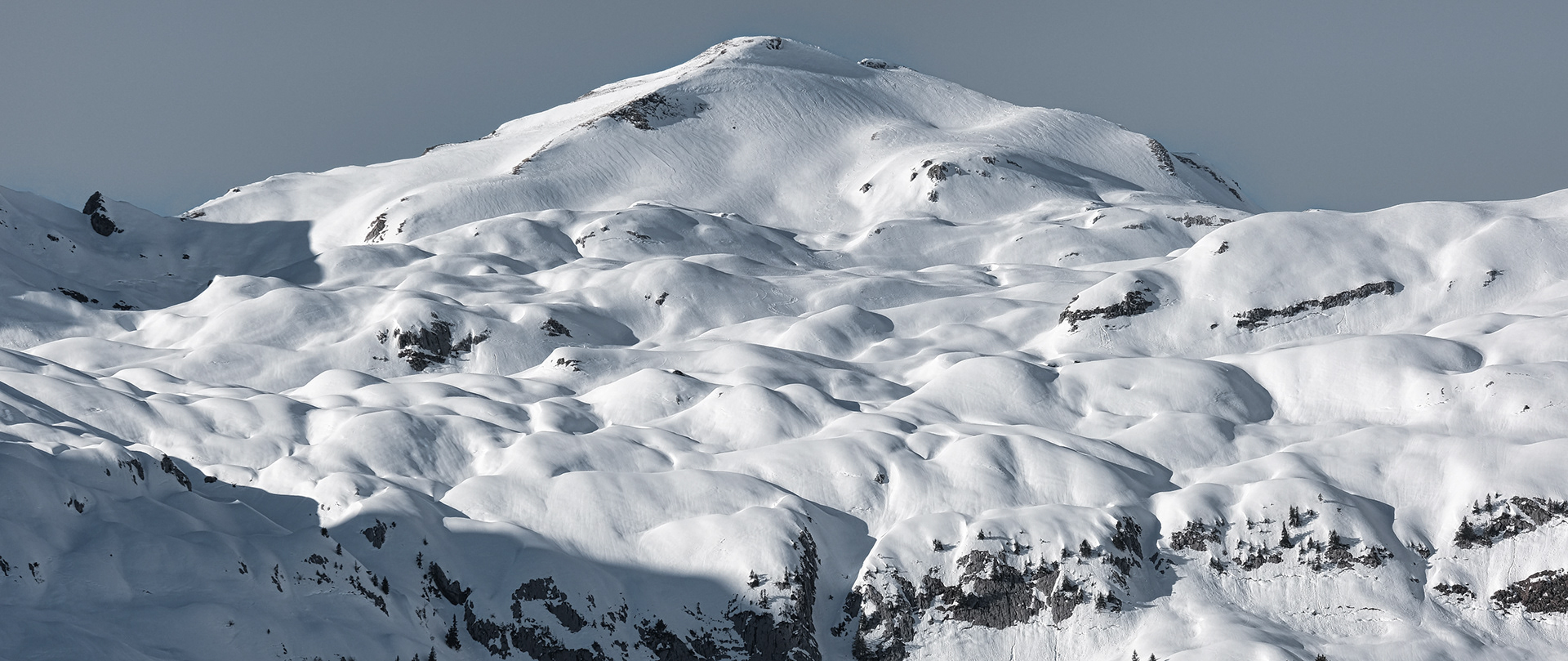 toggenburg | 20.02.2021
