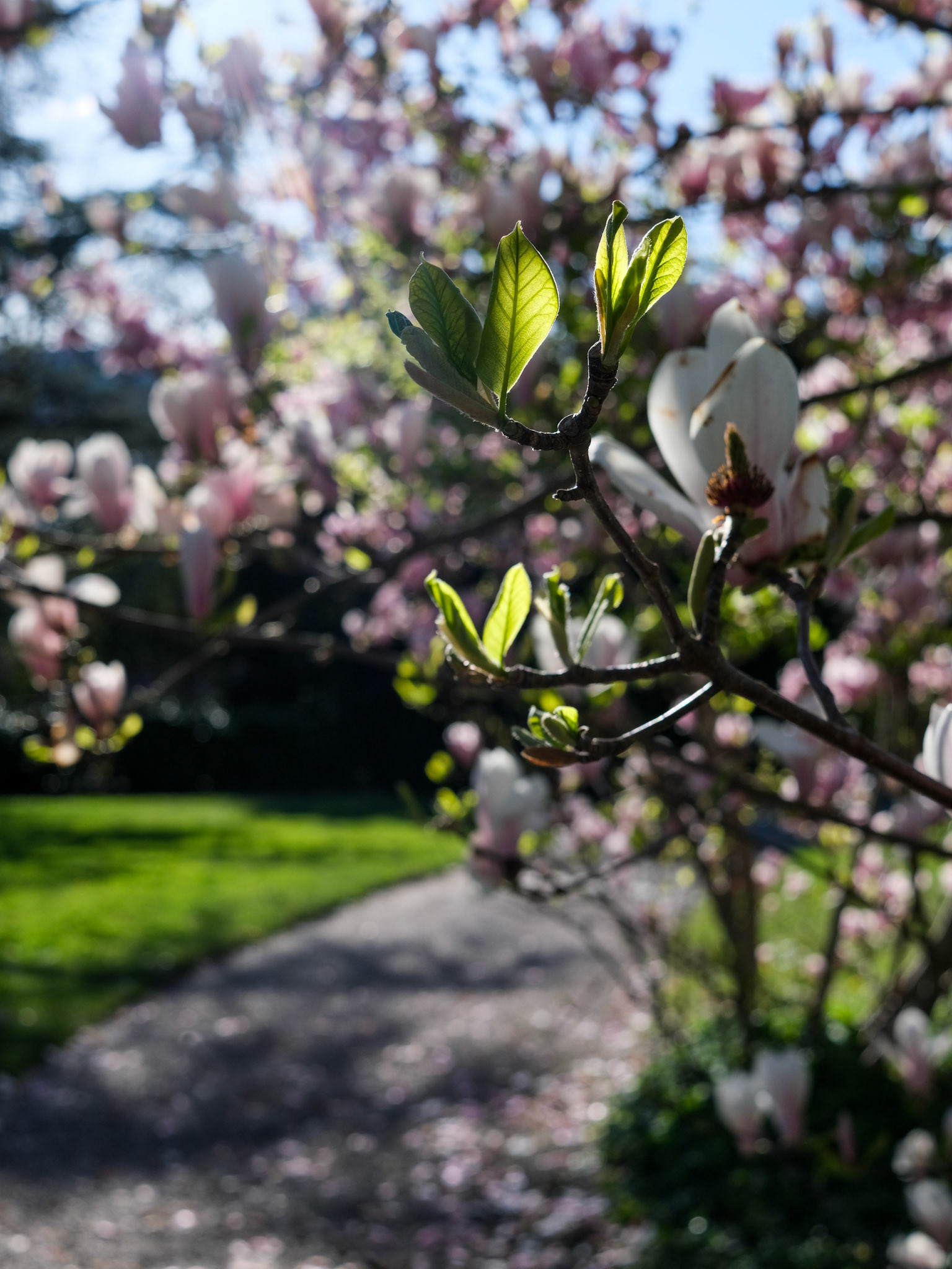 zürich | 02.04.2024