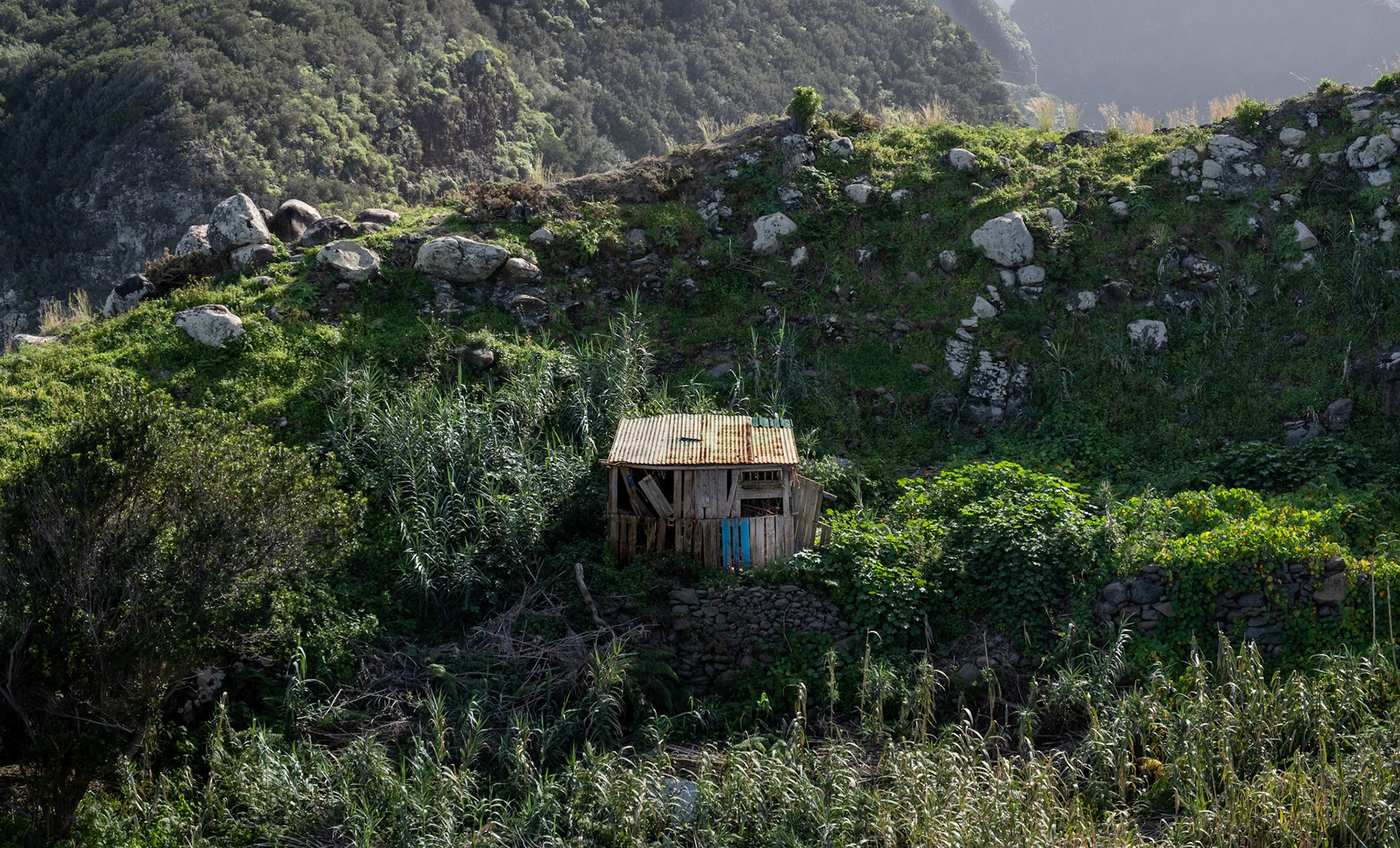 madeira | 10.02.2024