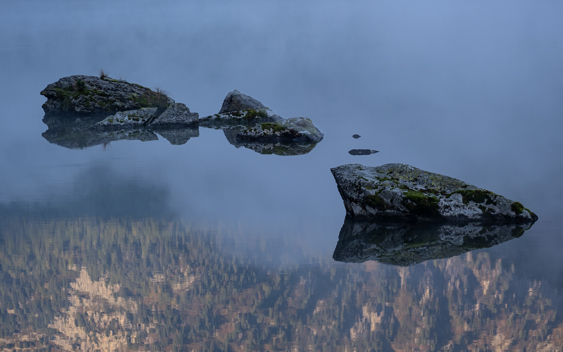 feed | graubünden | 10.2021