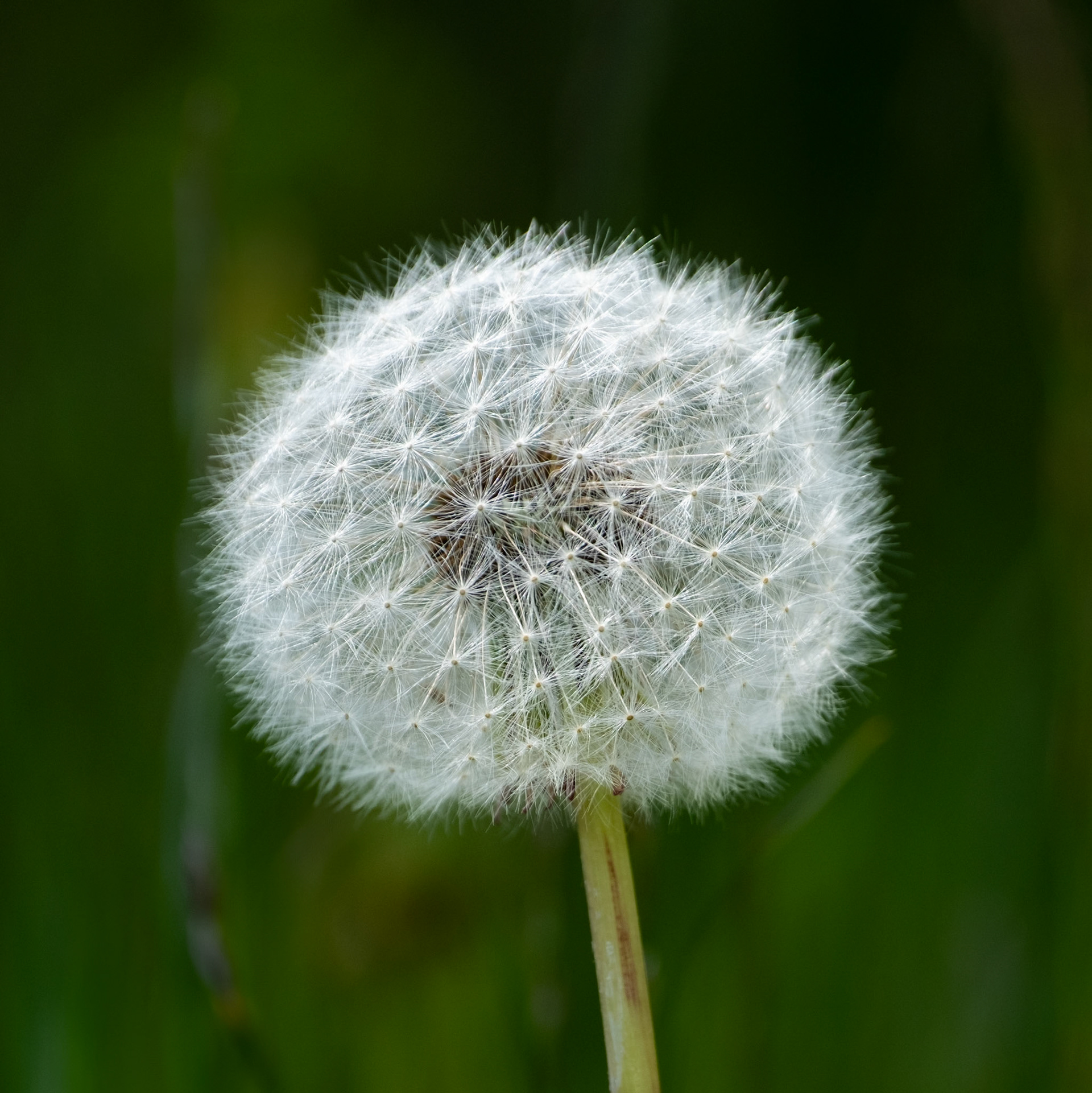 eastern switzerland | 19.05.2025