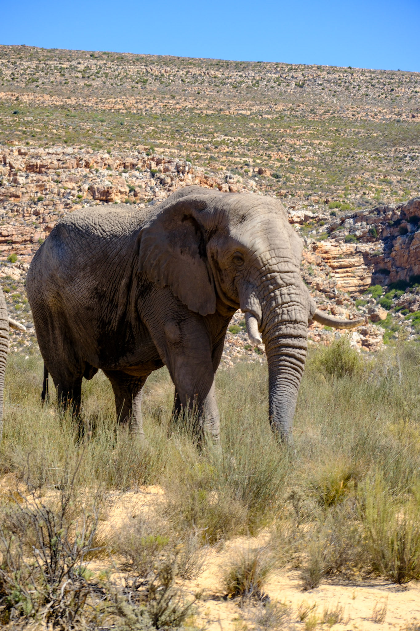 elim private nature reserve