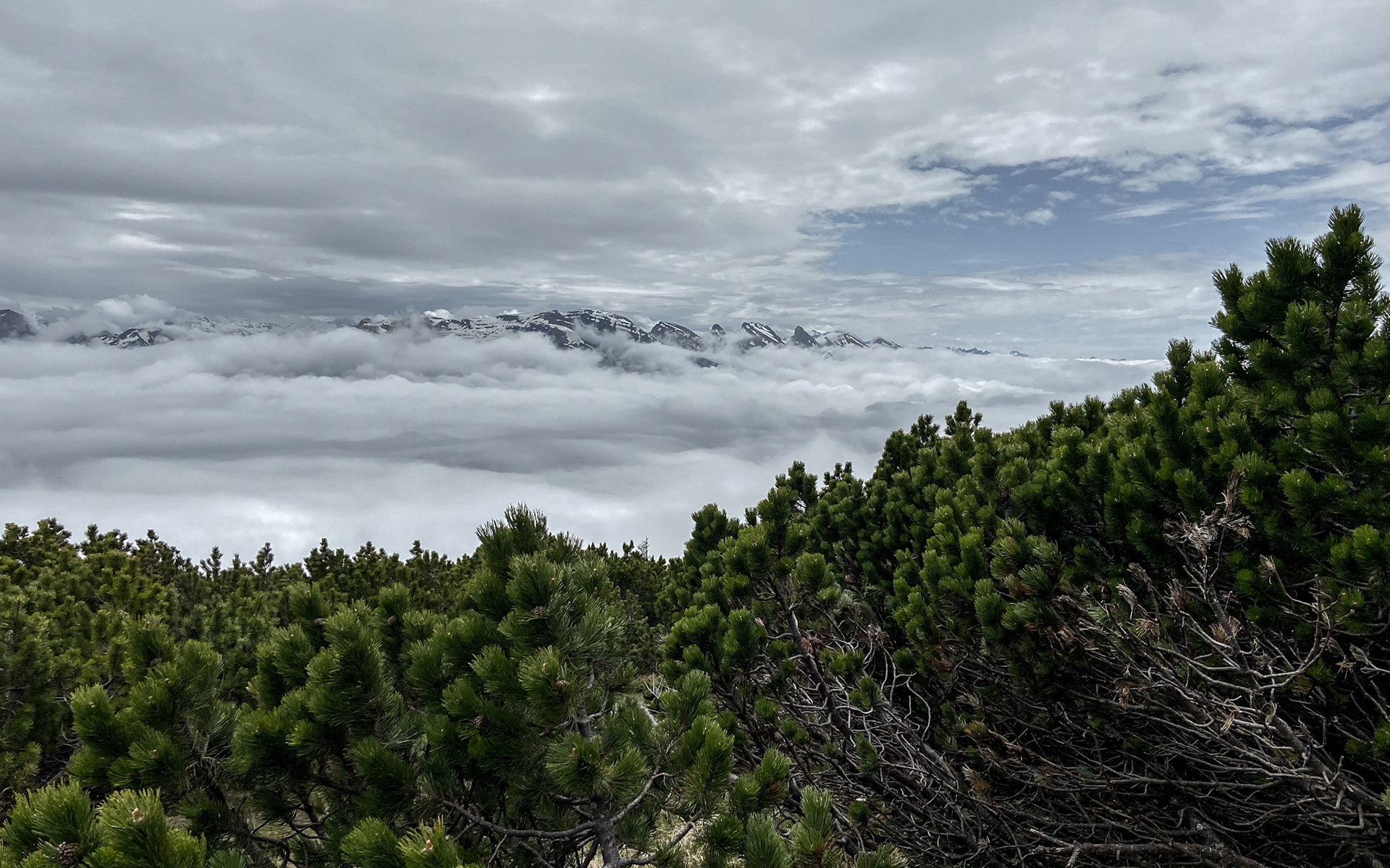 eastern switzerland | 16.05.20