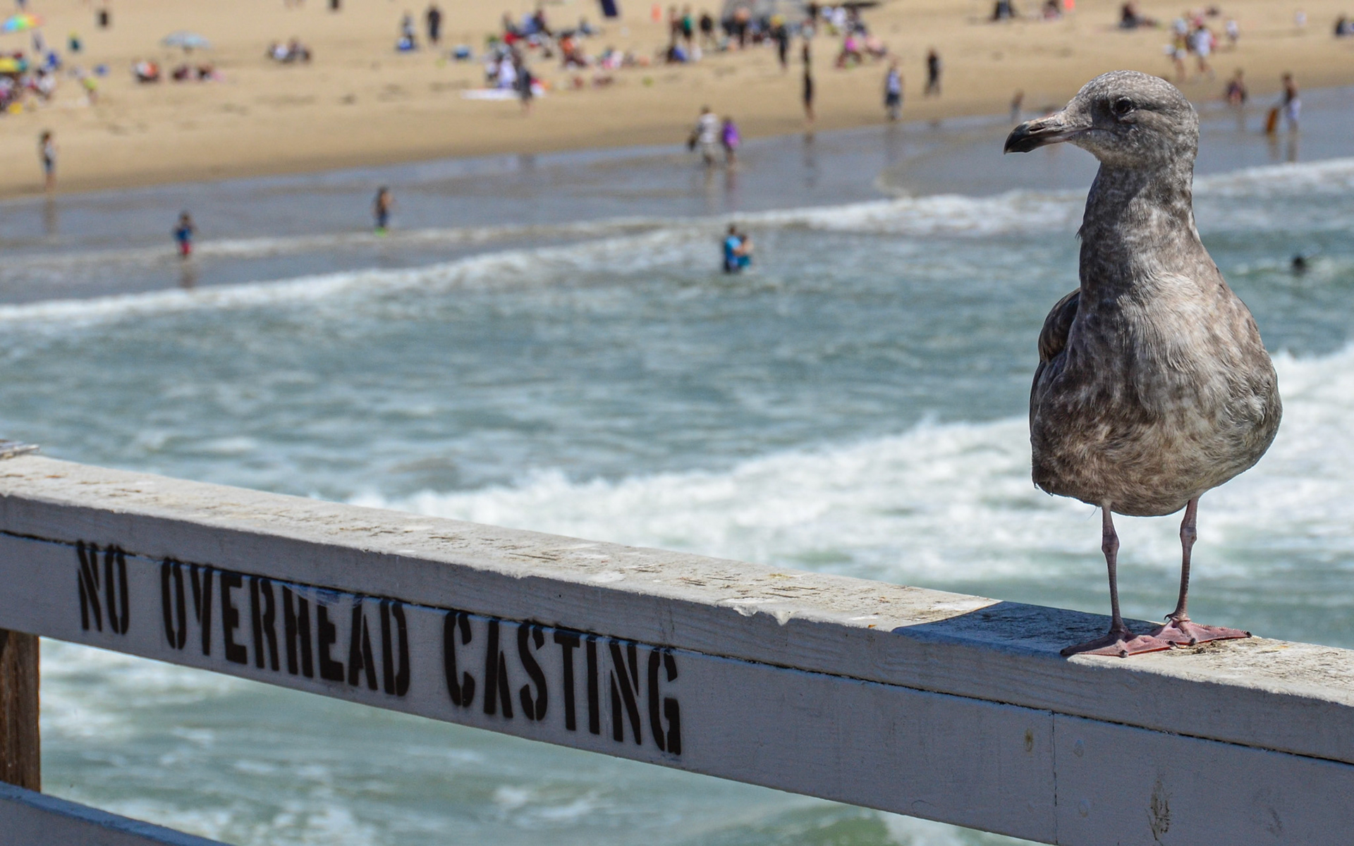 pismo beach | 05.09.2011