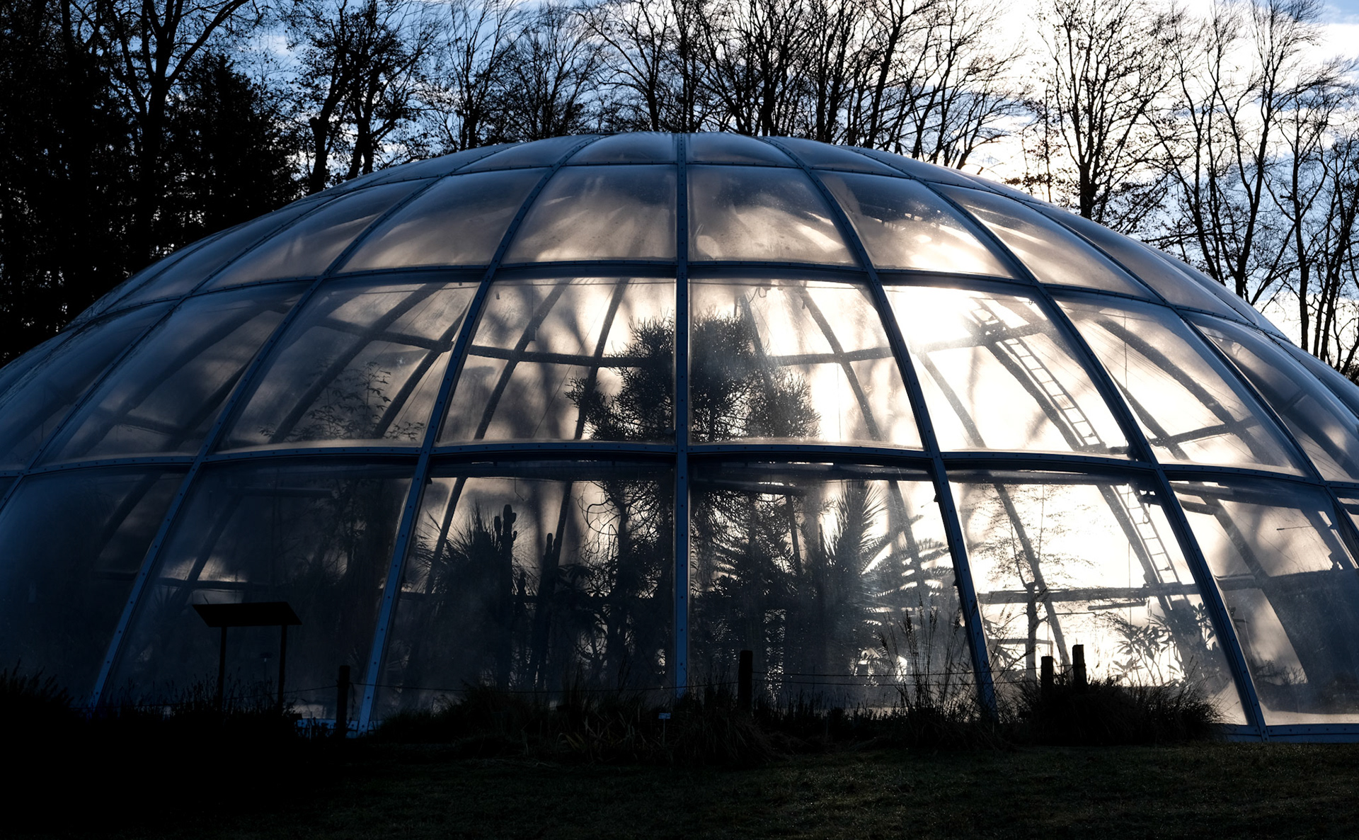 botanic garden | zürich