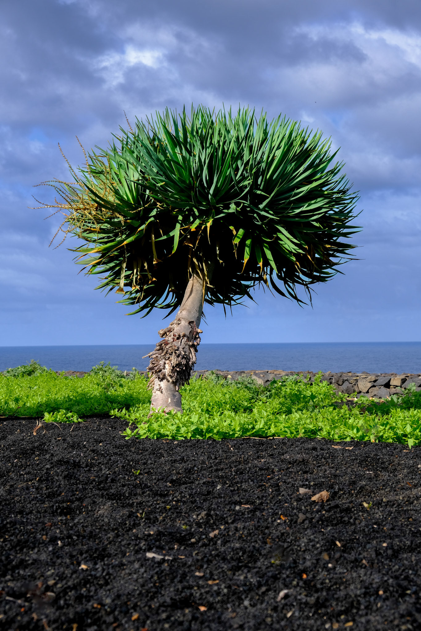 tenerife | 19.01.2024