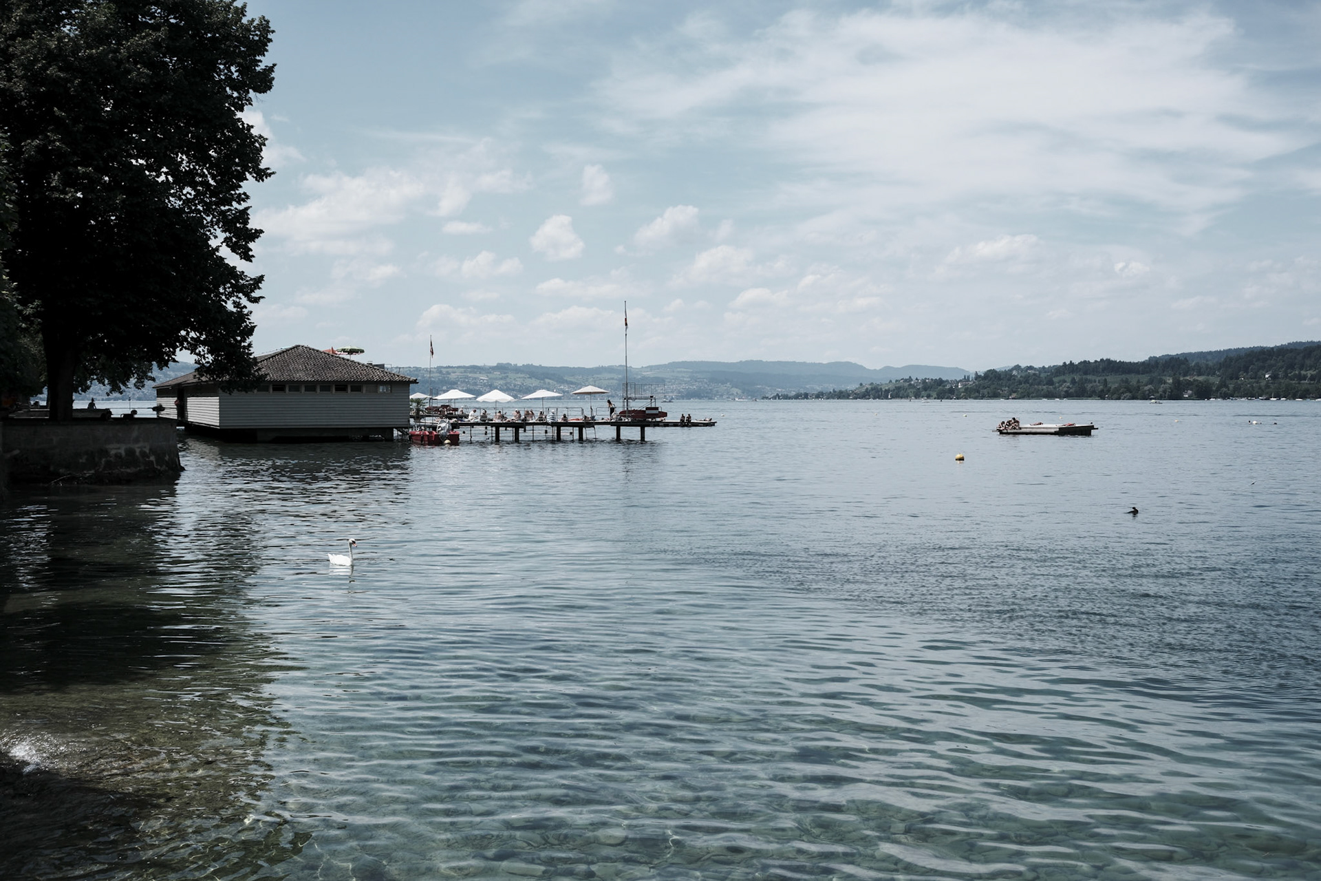 lake zurich| 12.07.2025