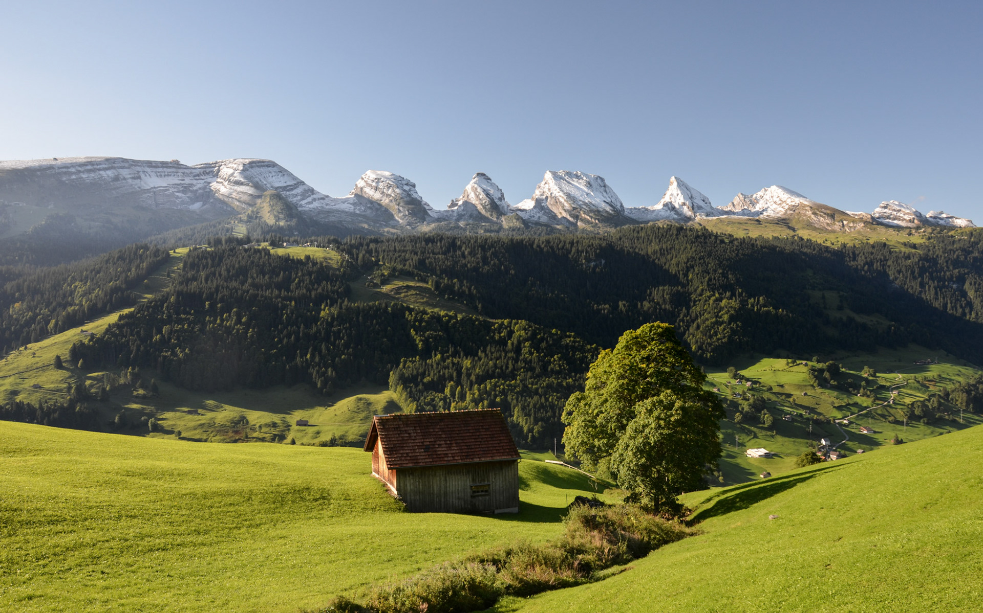 toggenburg | 15.09.2017