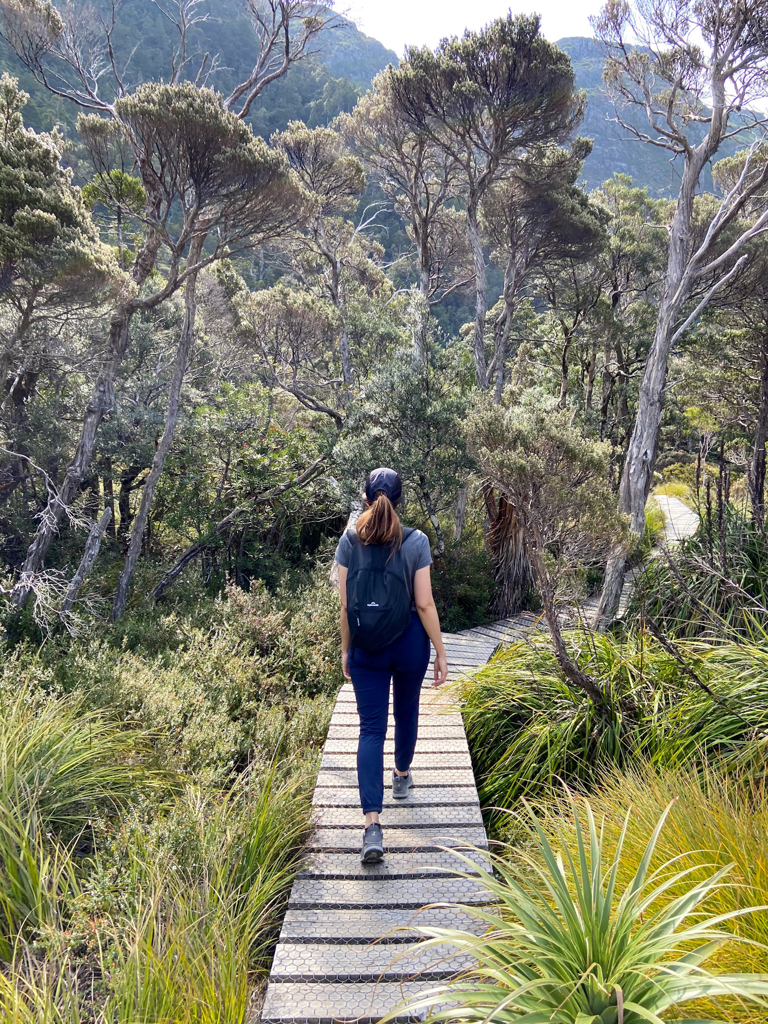 tasmania | 09.01.2020