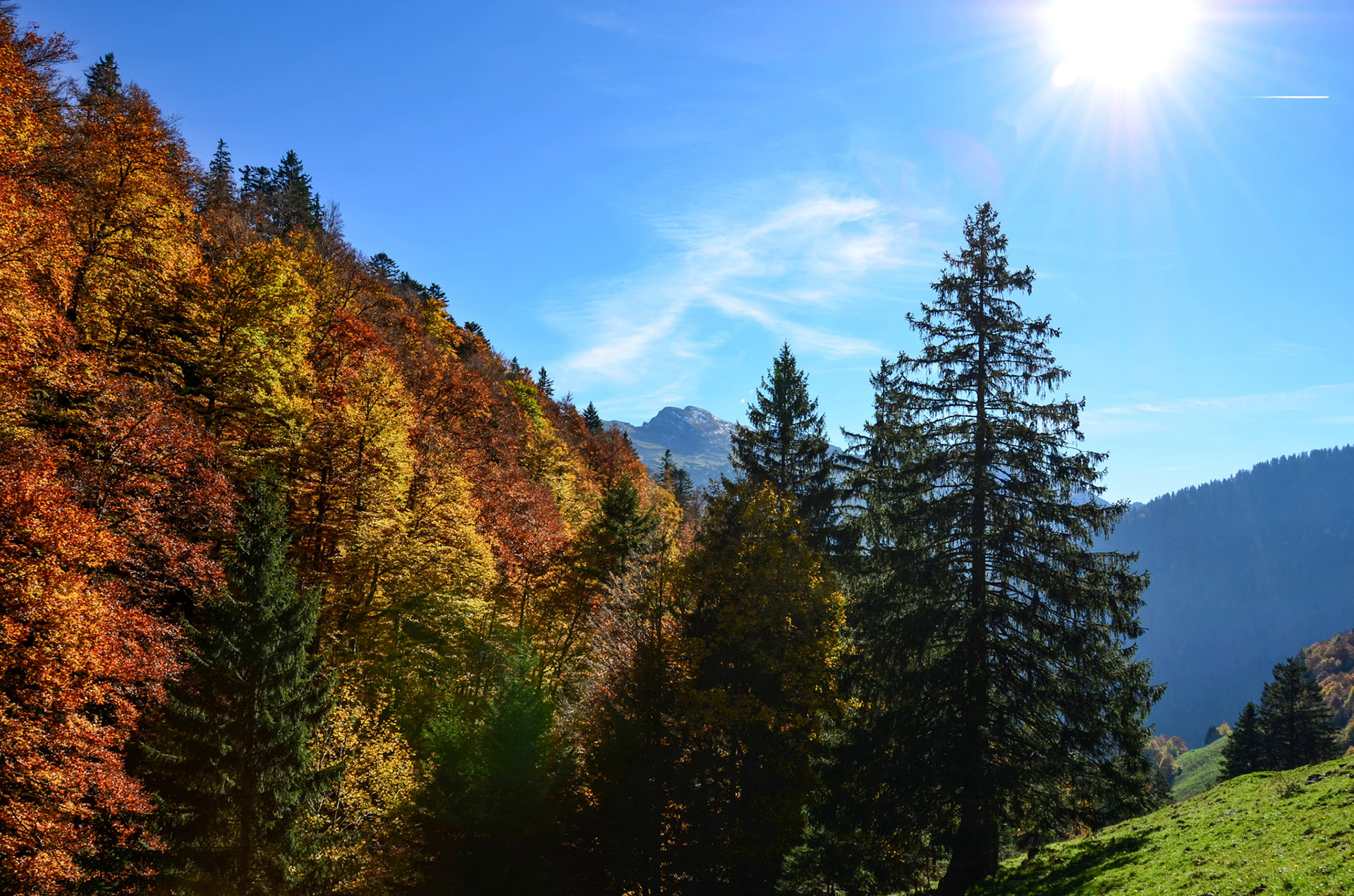 toggenburg | | 15.10.2017