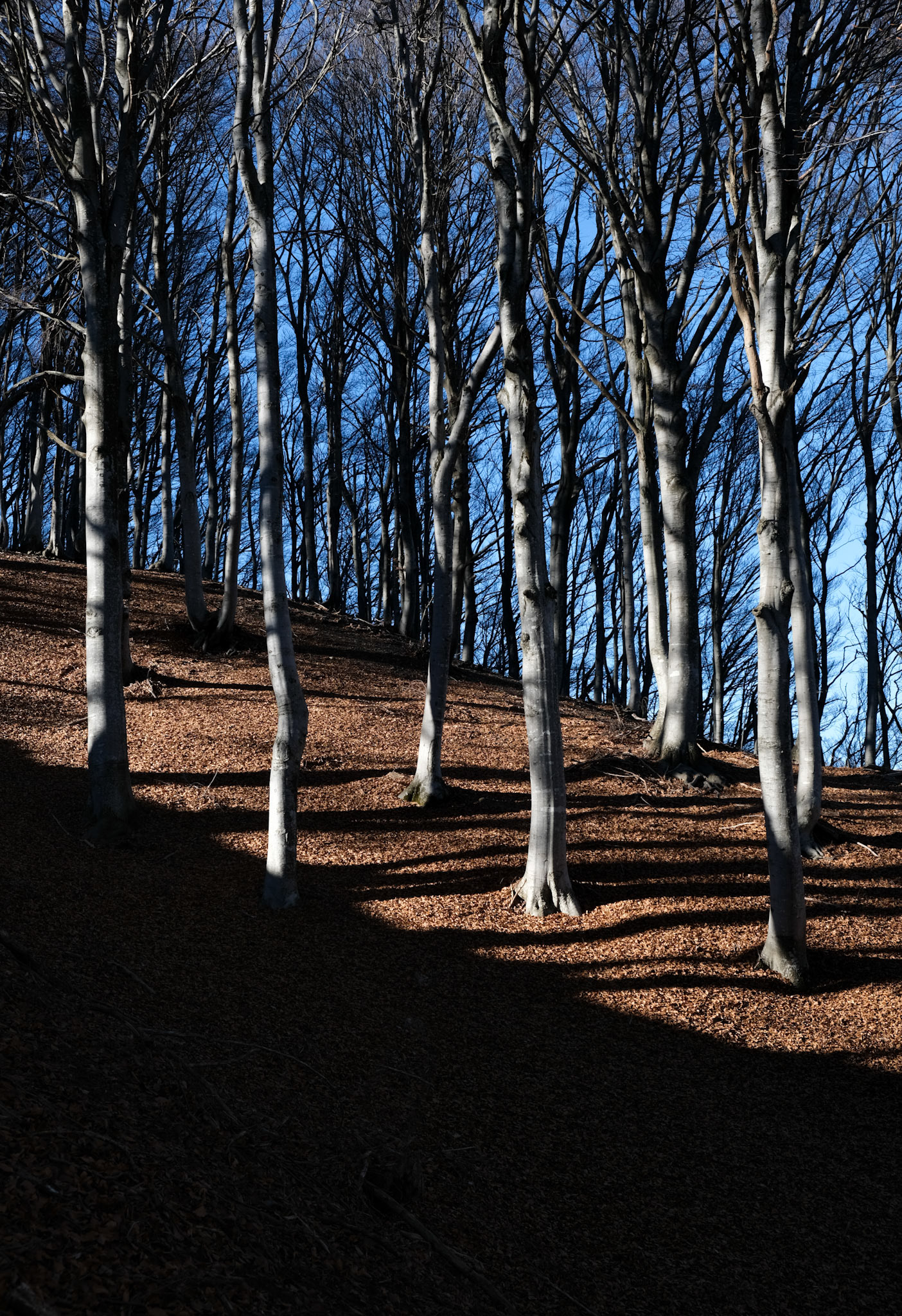 ticino | 14.01.2022