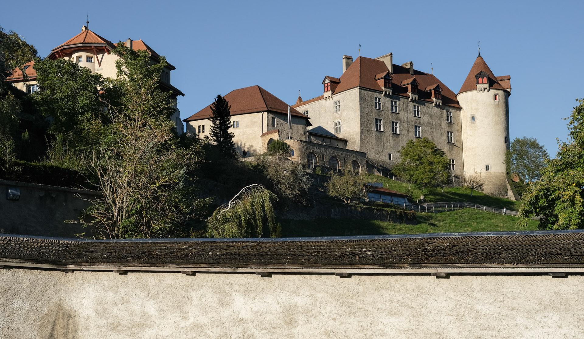 gruyère