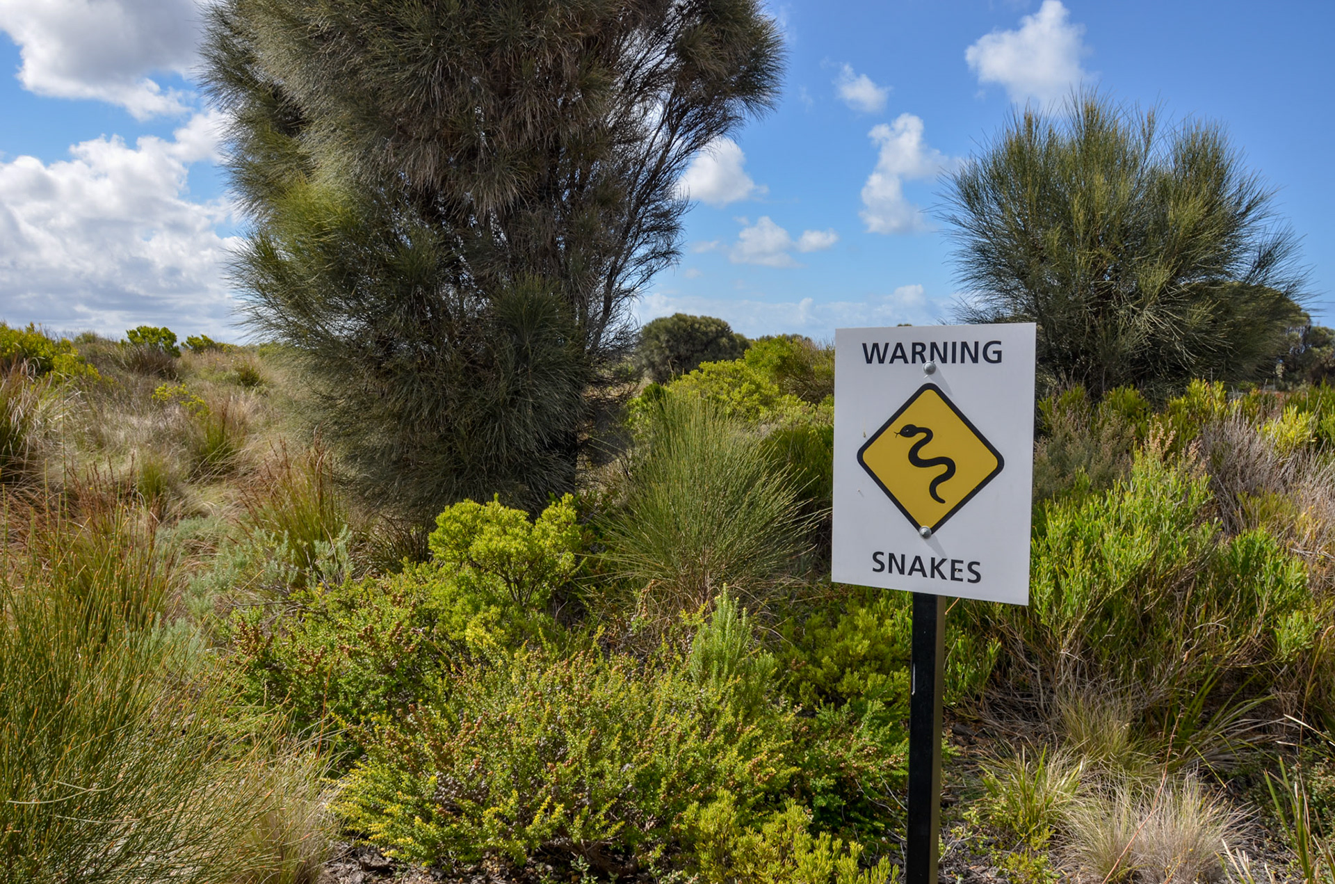great ocean road | 28.01.2015