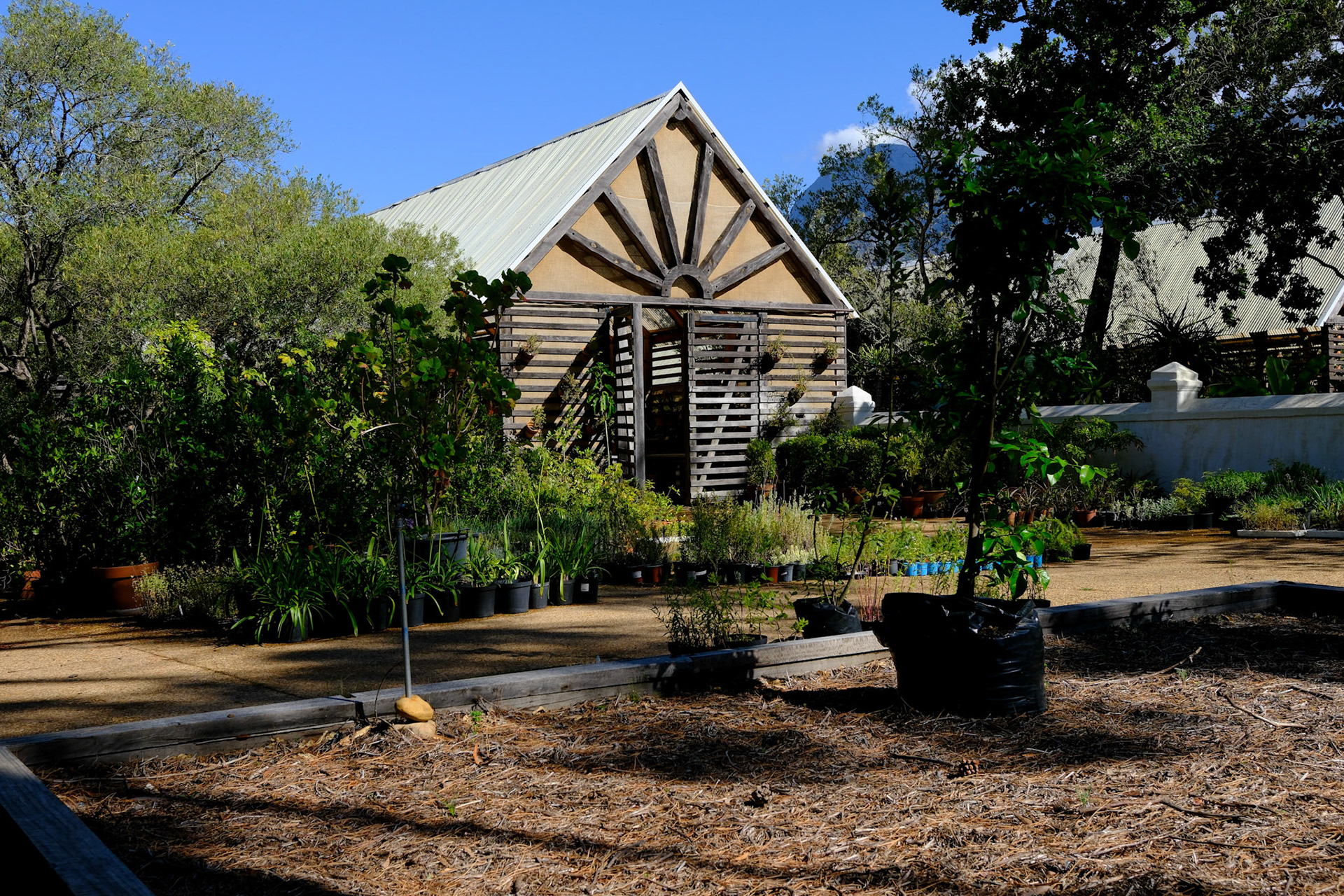 stellenbosch