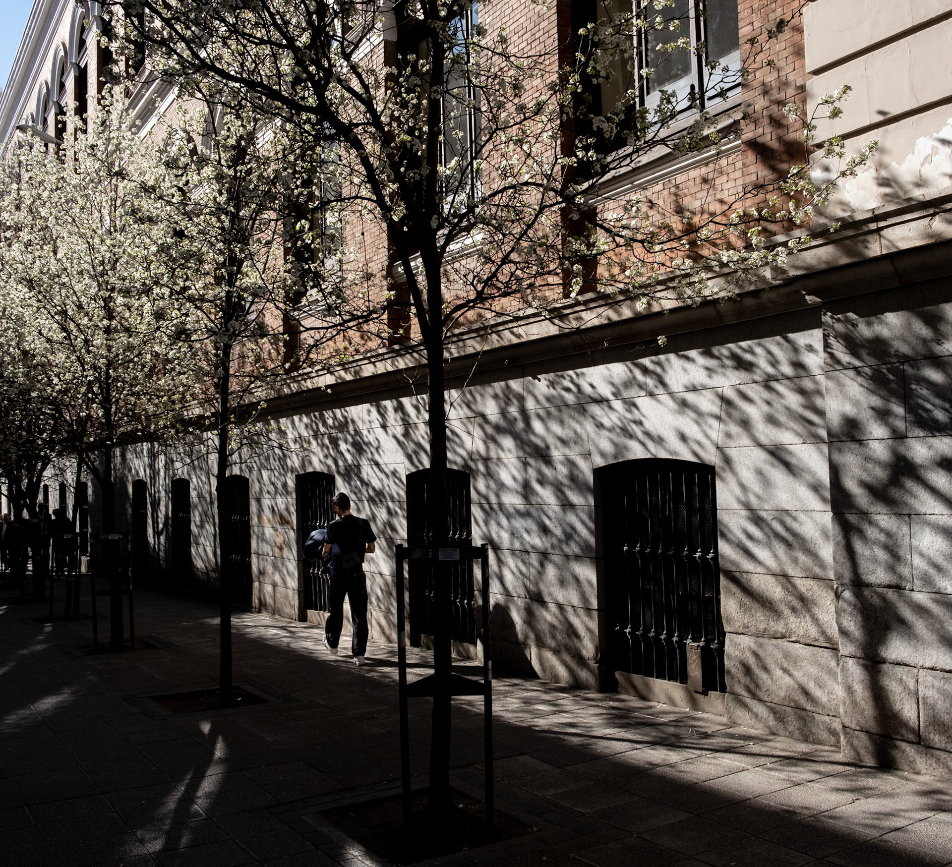 madrid | 24.03.2023