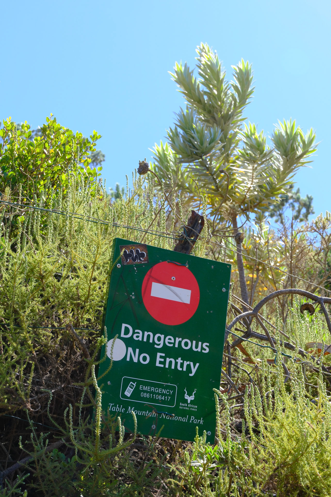 lion's head trail