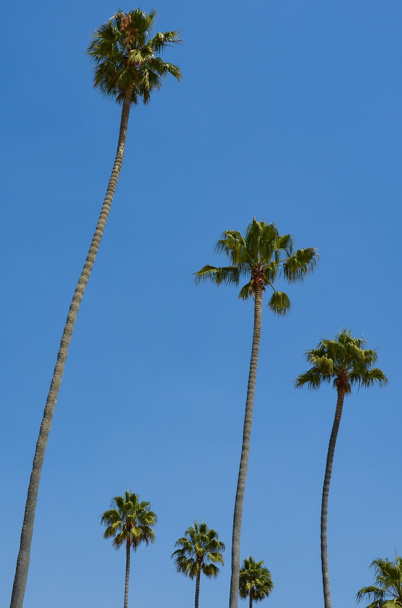 santa barbara | 06.09.2011