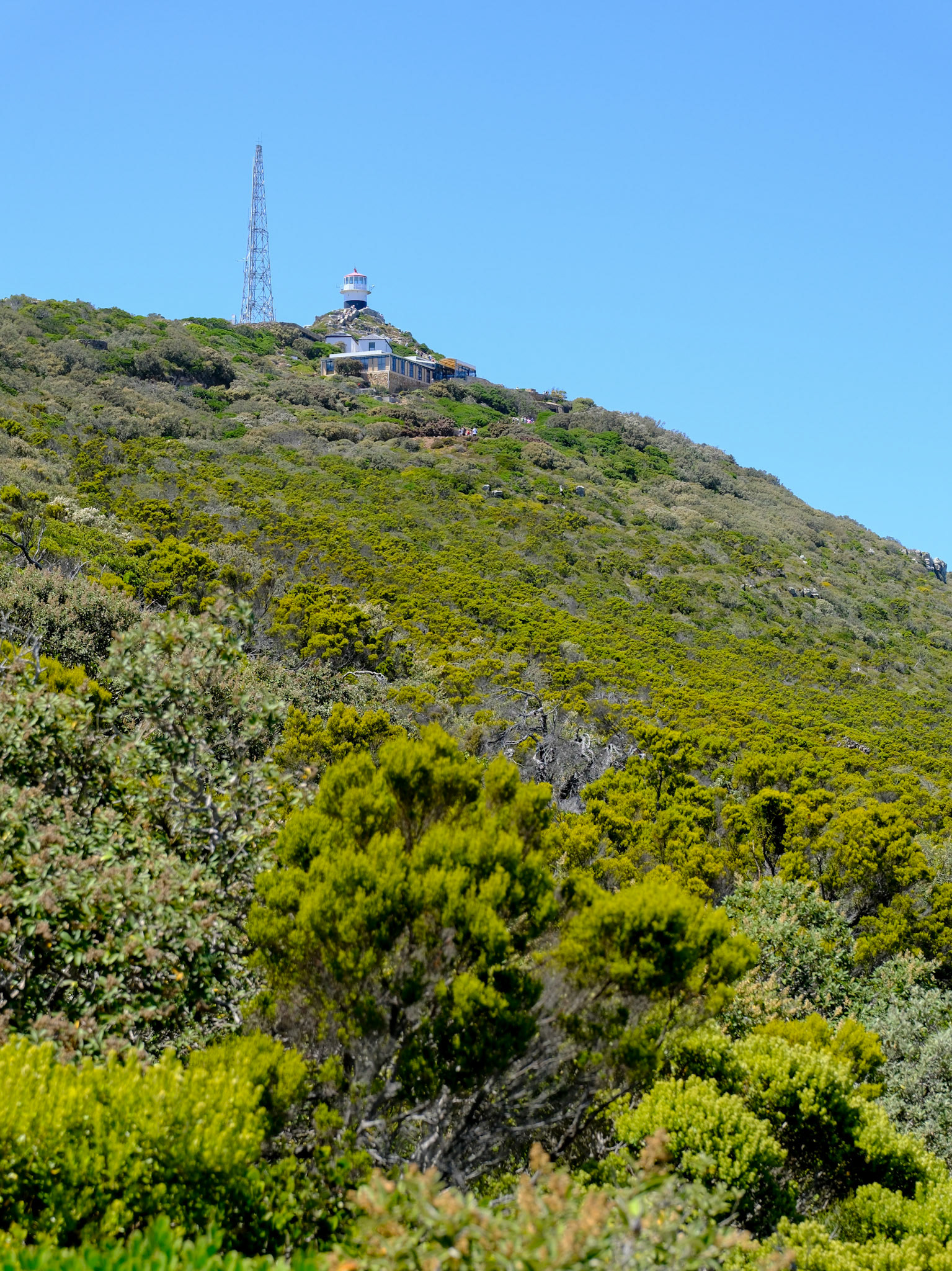cape point