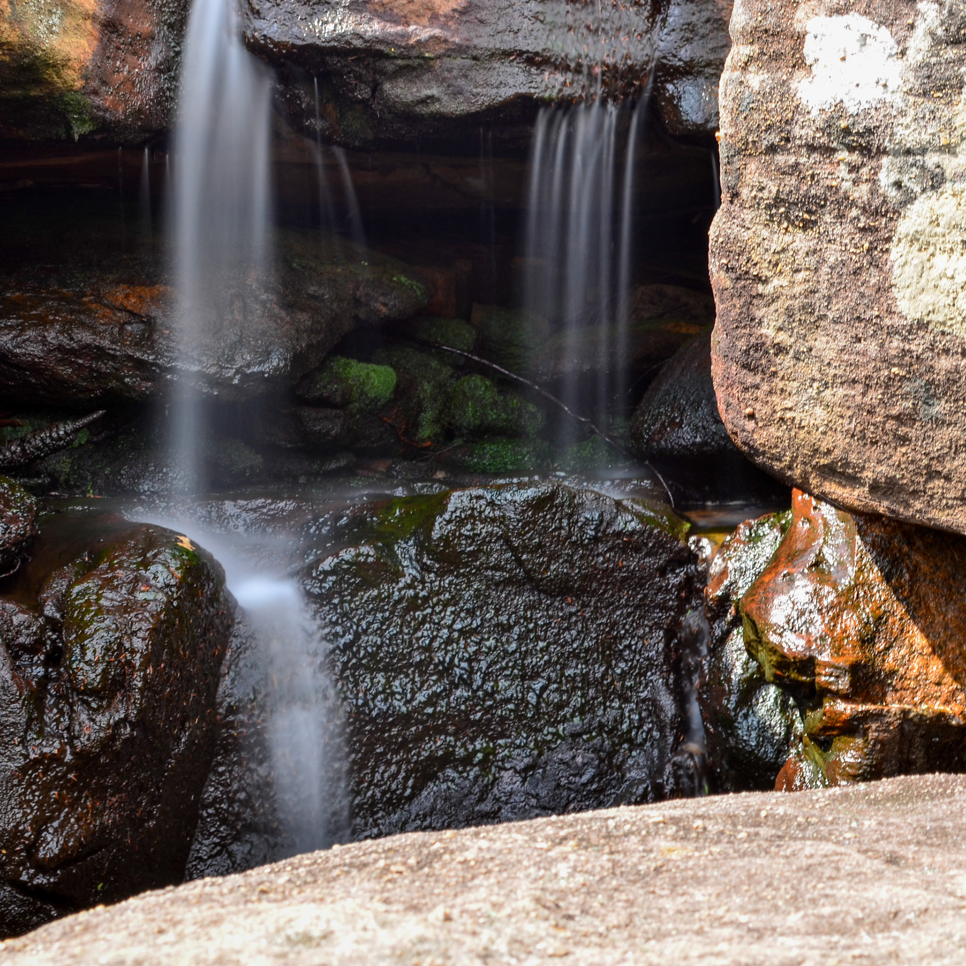 royal national park | 02.01.2017