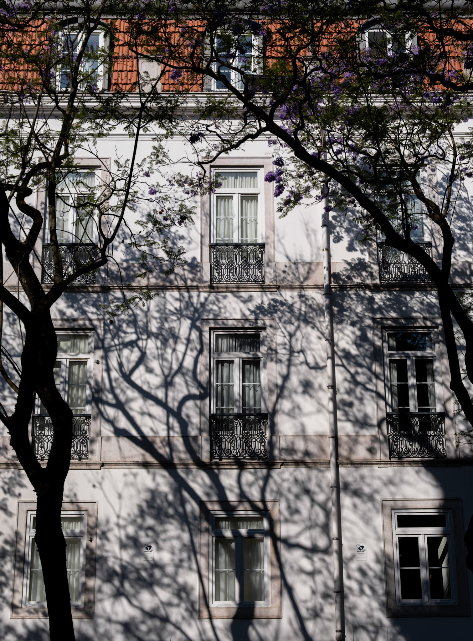 lisbon | 2023