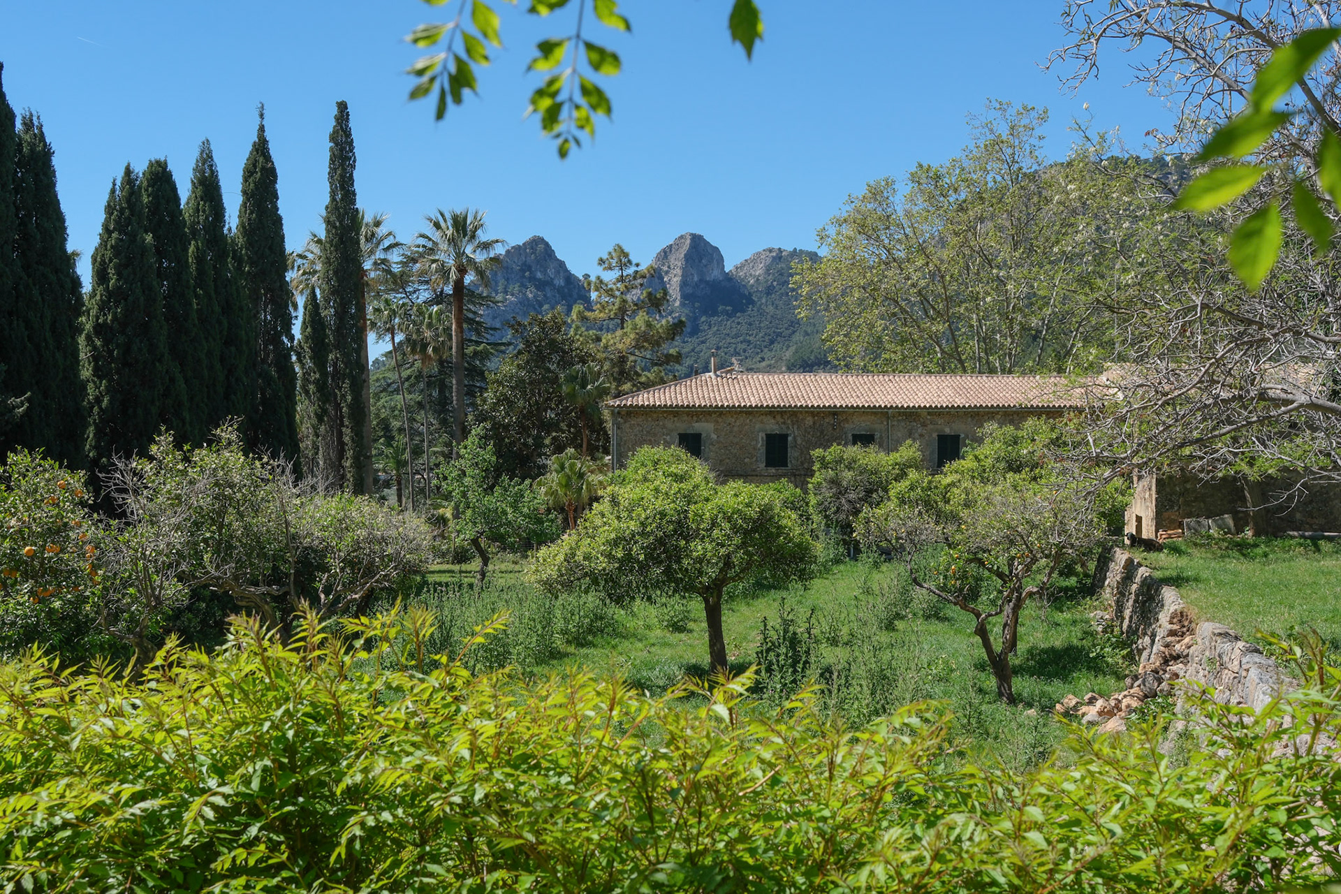 jardins d'alfàbia