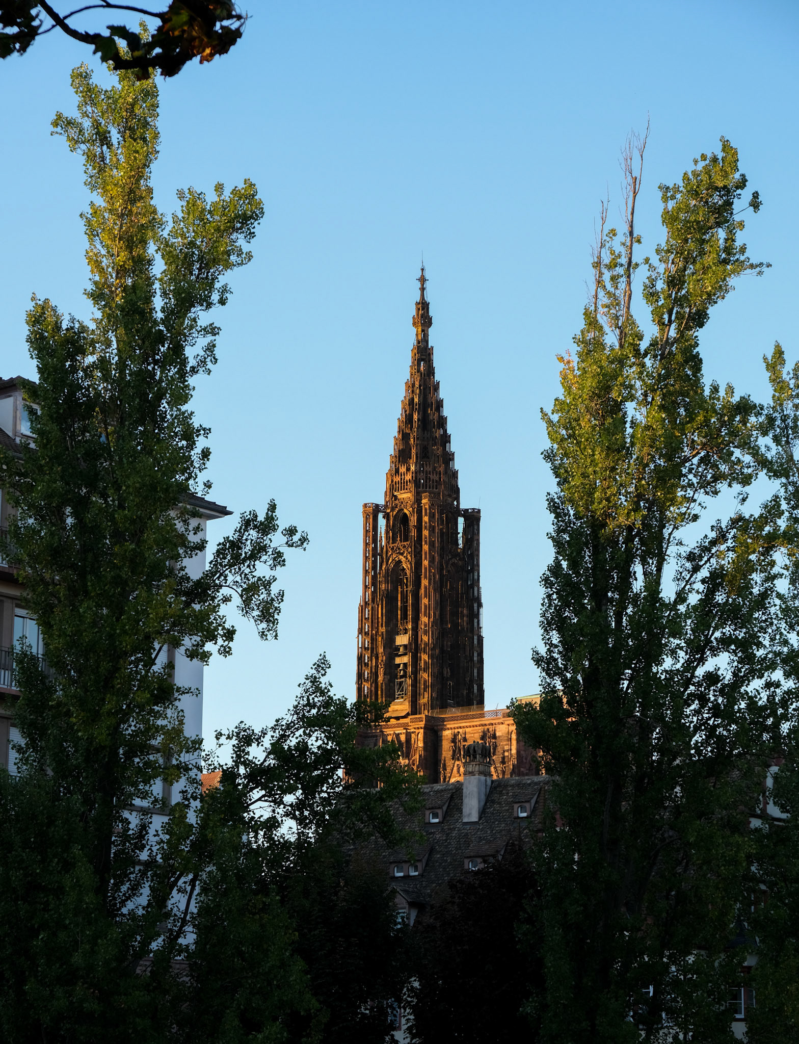 strasbourg | 12.08.2022