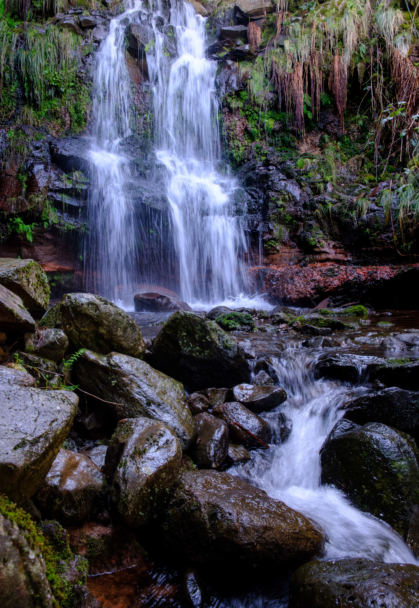 madeira | 15.02.2024