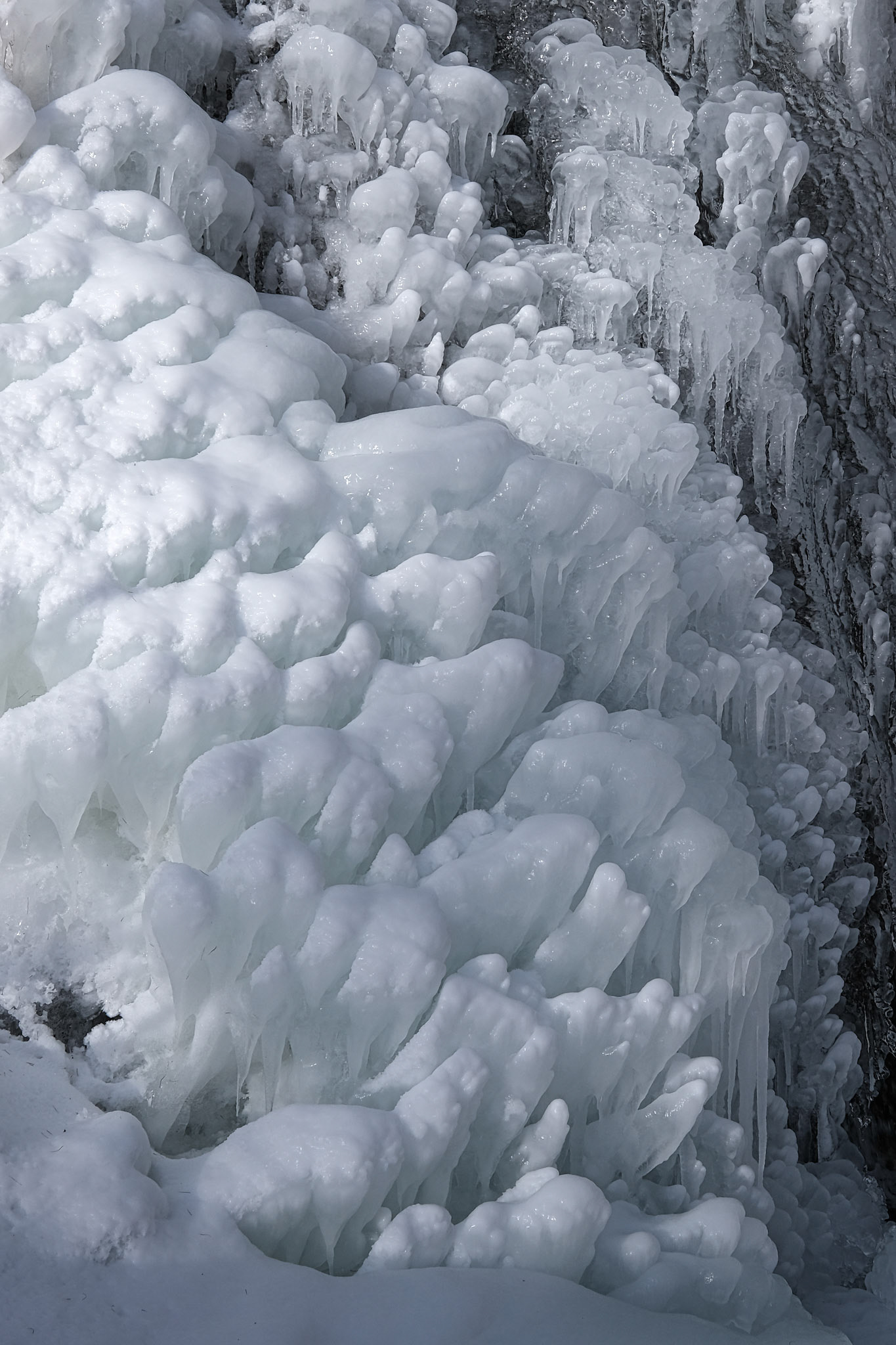 graubünden | 01.01.2021