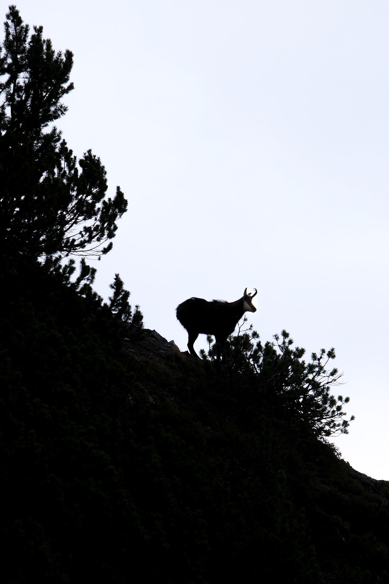 graubünden | 03.11.2020