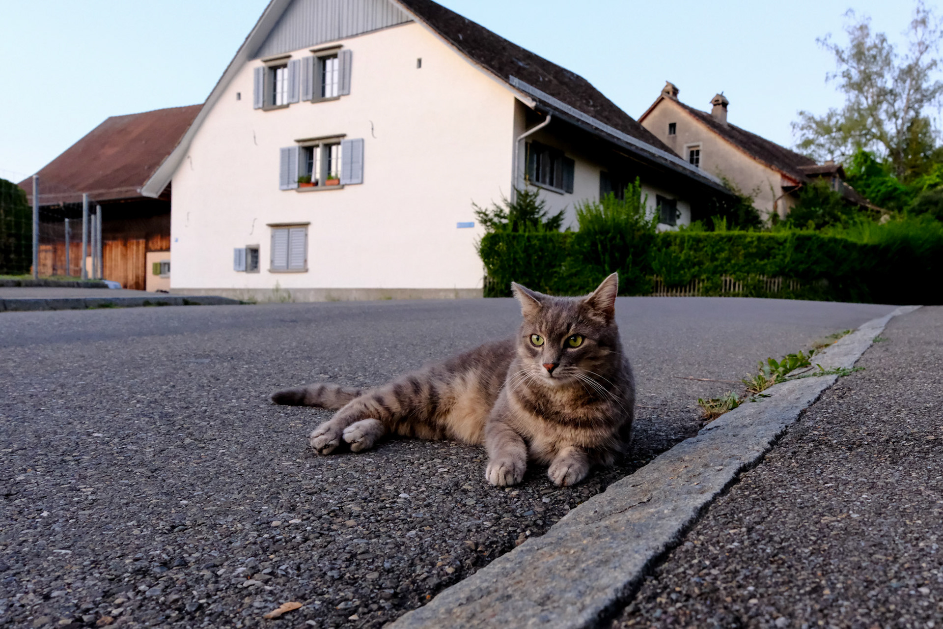zürich | 15.08.2024