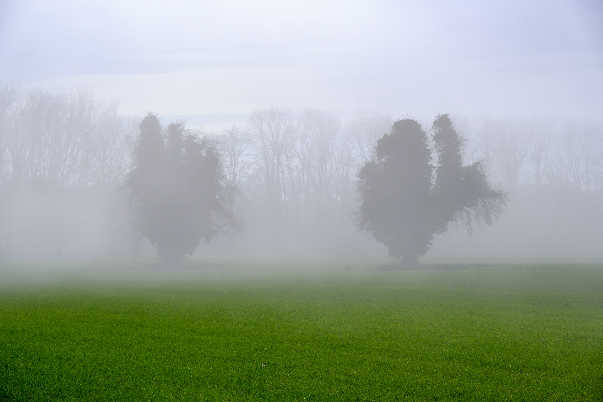 lake constance | 14.03.2024