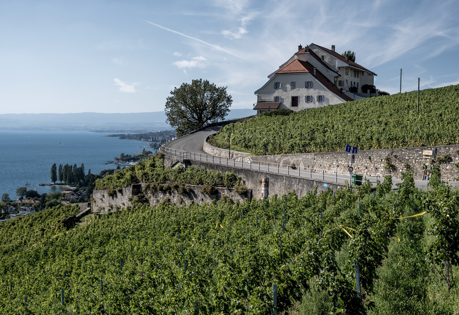 lavaux