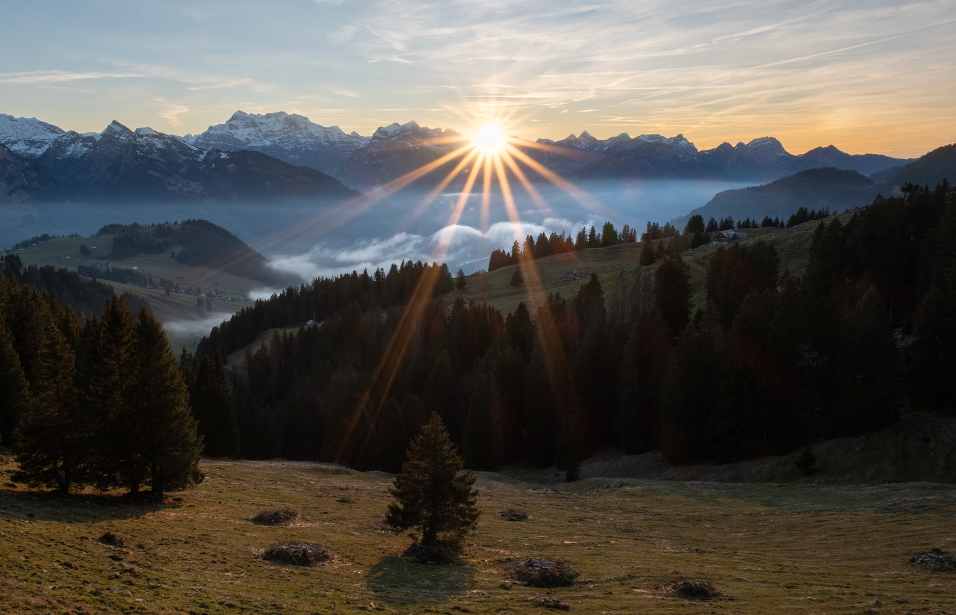 feed | eastern switzerland | 01.2023