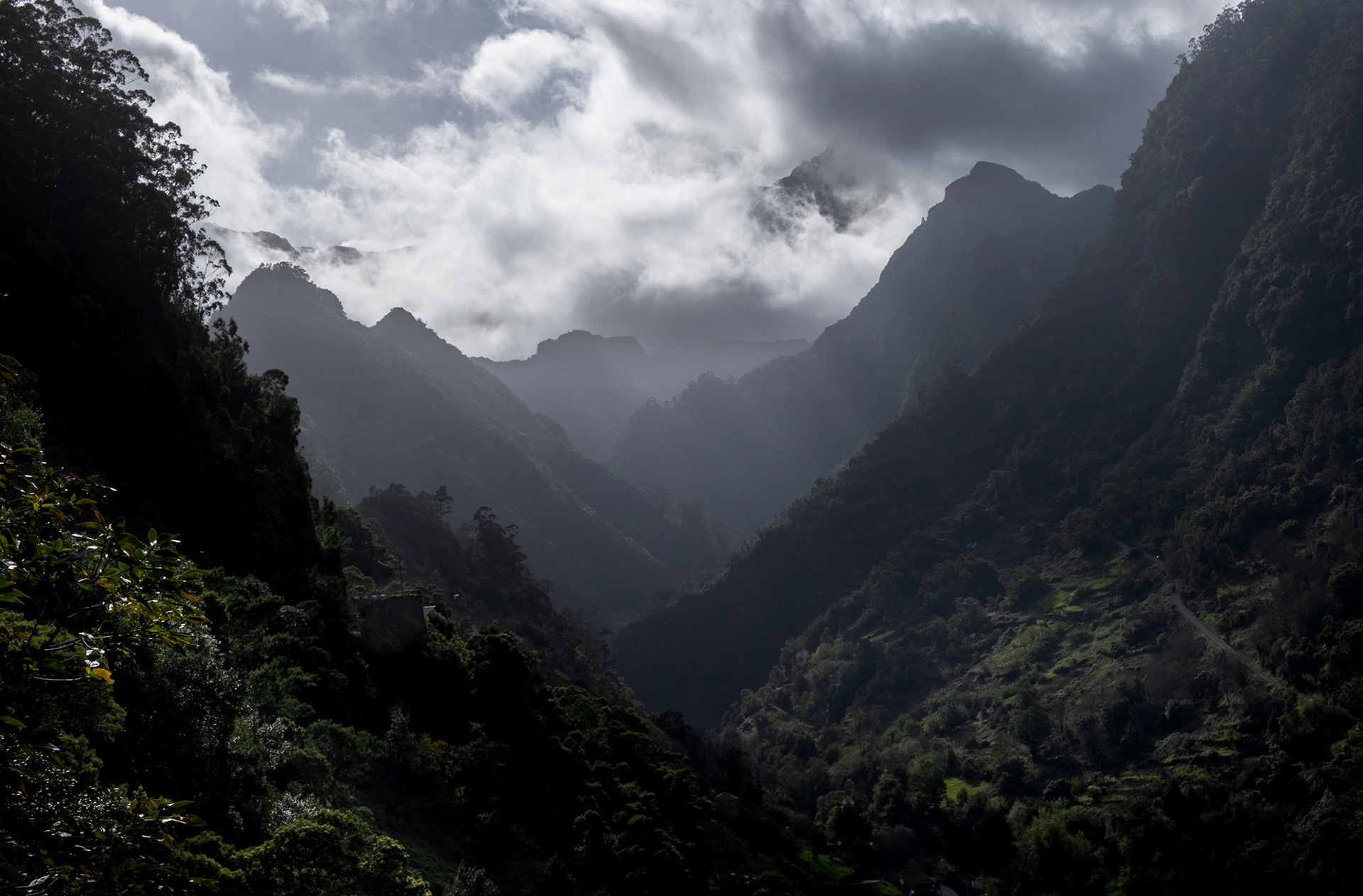 madeira | 10.02.2024