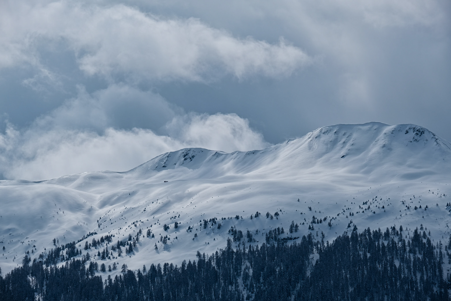 feed | graubünden | 03.2021