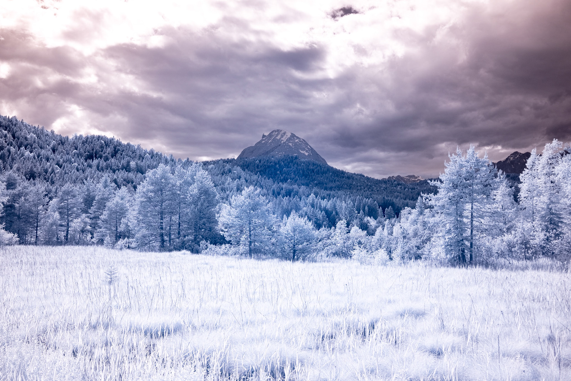seefeld