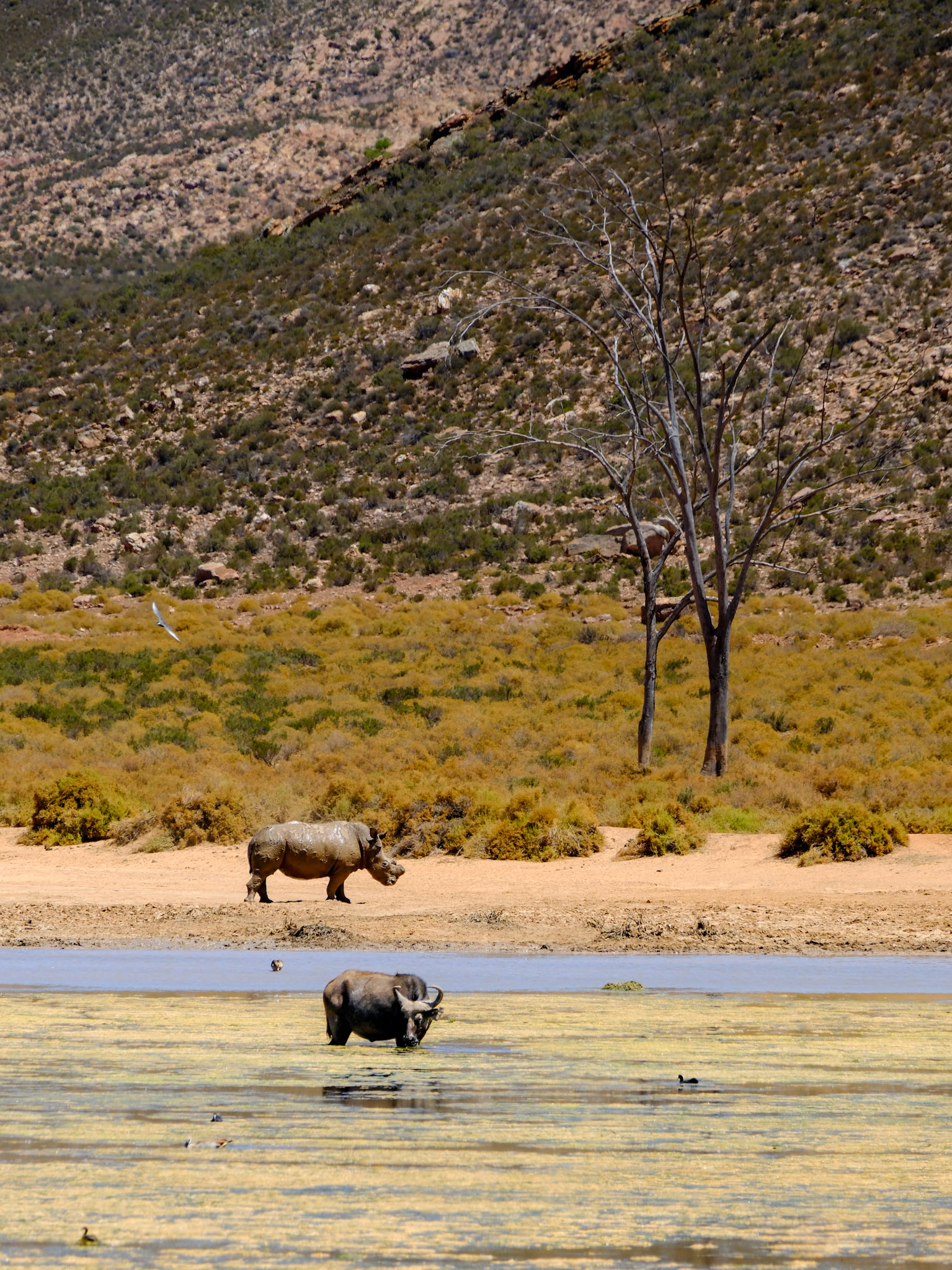 elim private nature reserve
