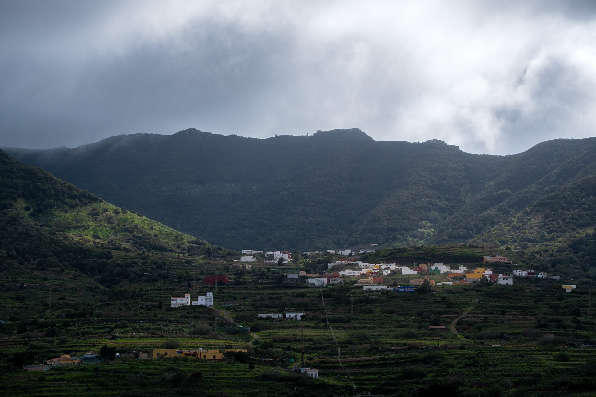 el palmar