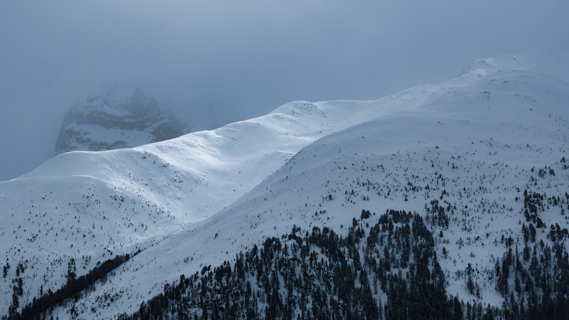 feed | graubünden | 12.2020