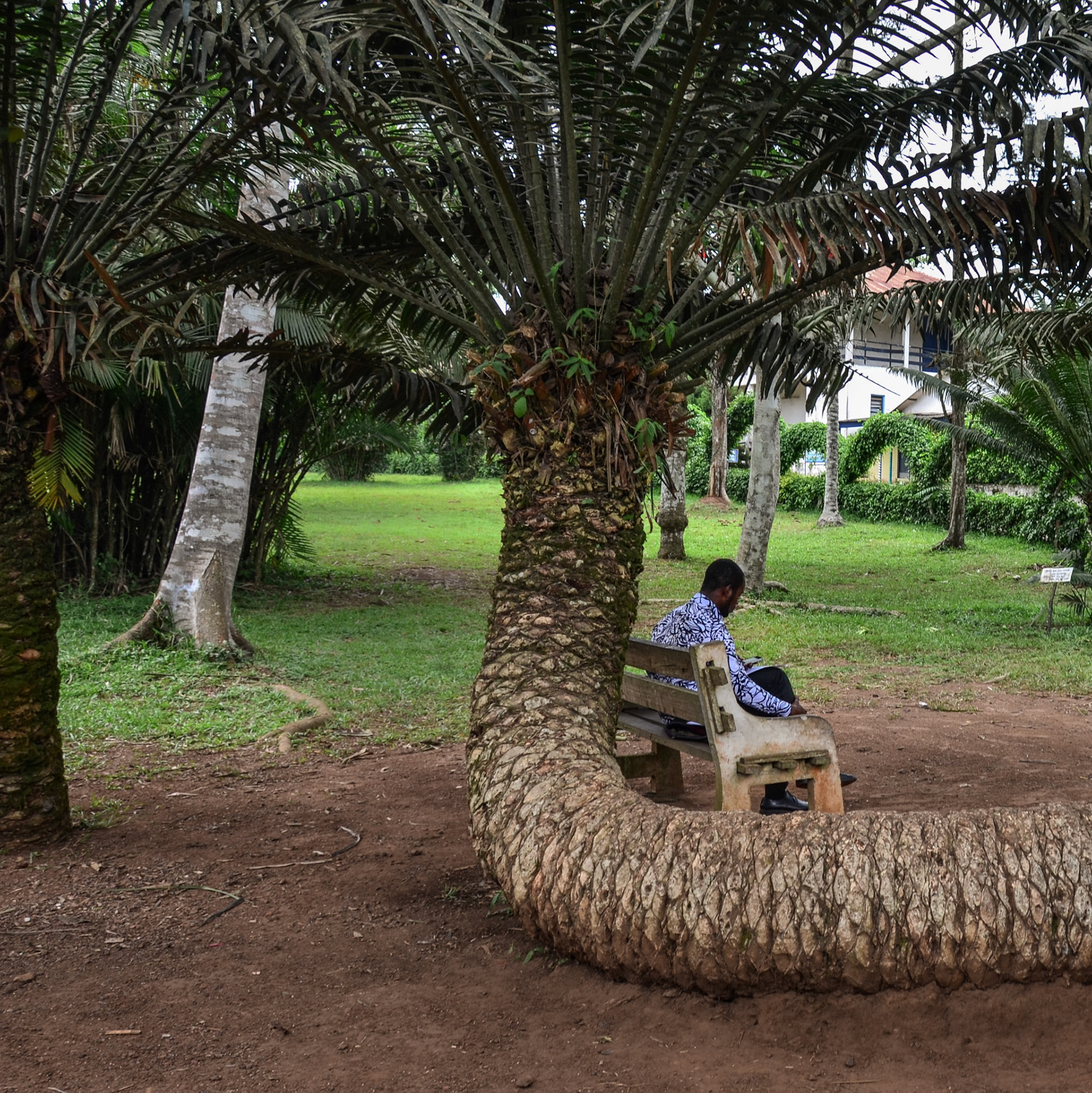 ghana | 24.03.2014