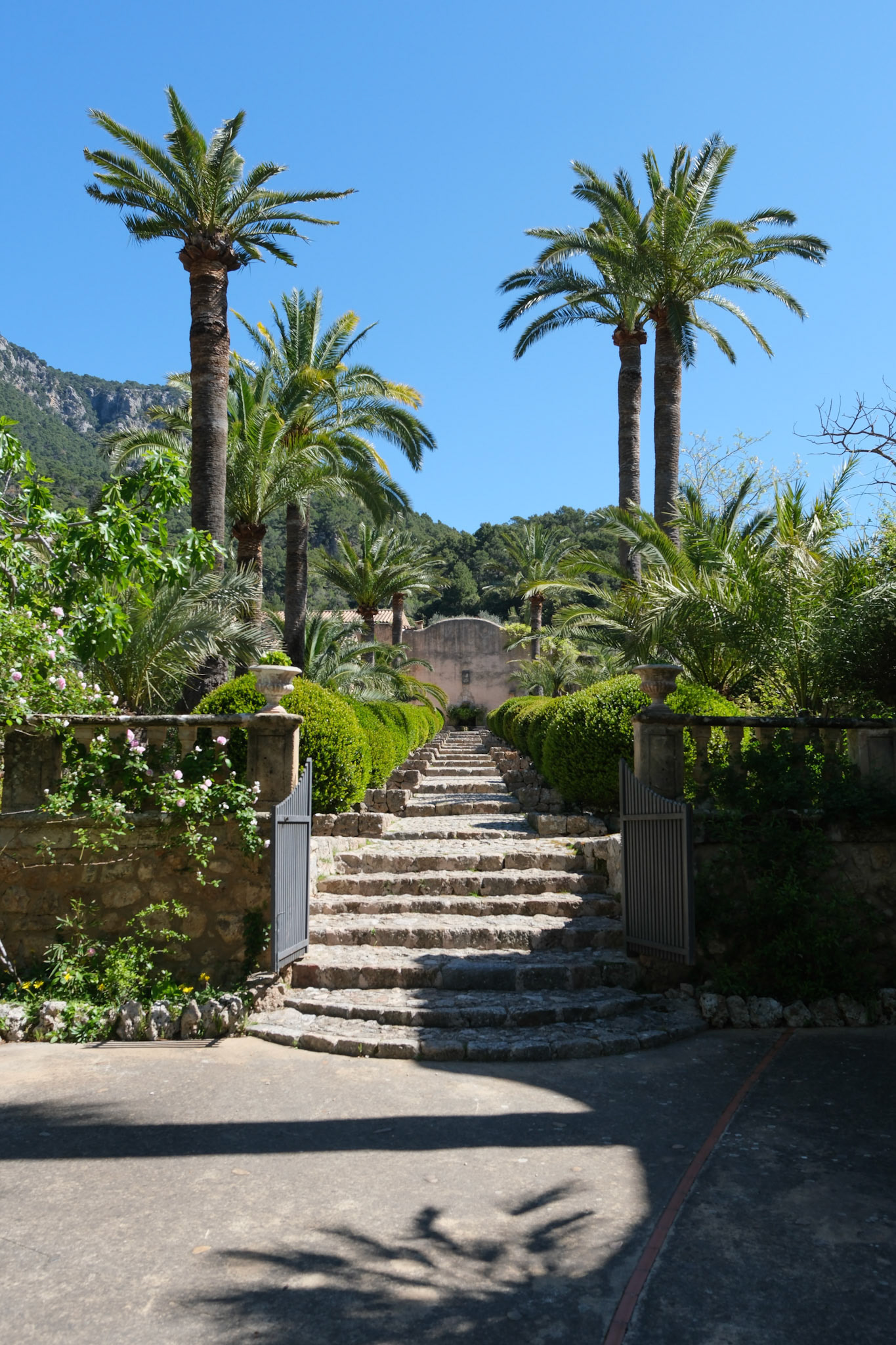 jardins d'alfàbia