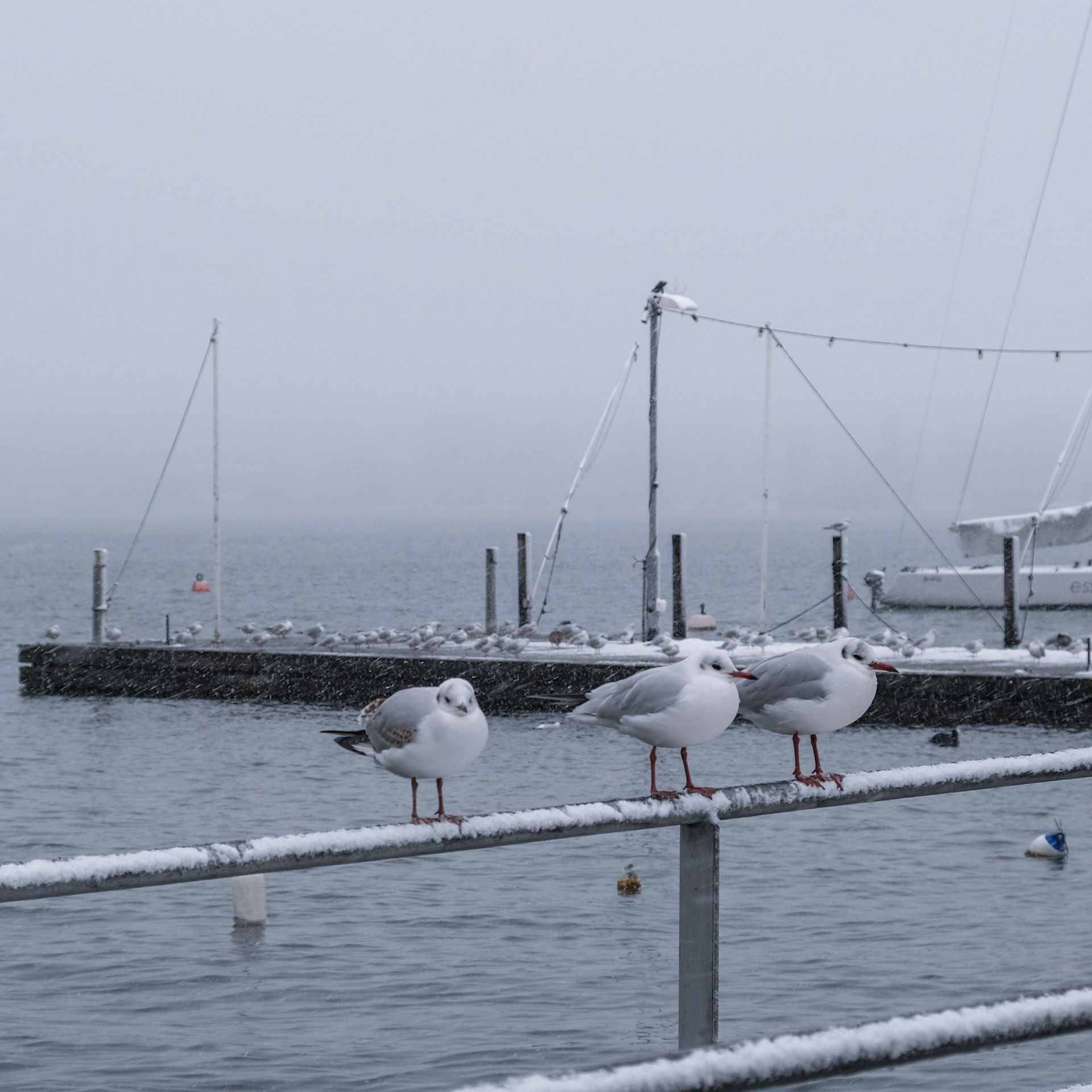 zürich | 02.12.2023