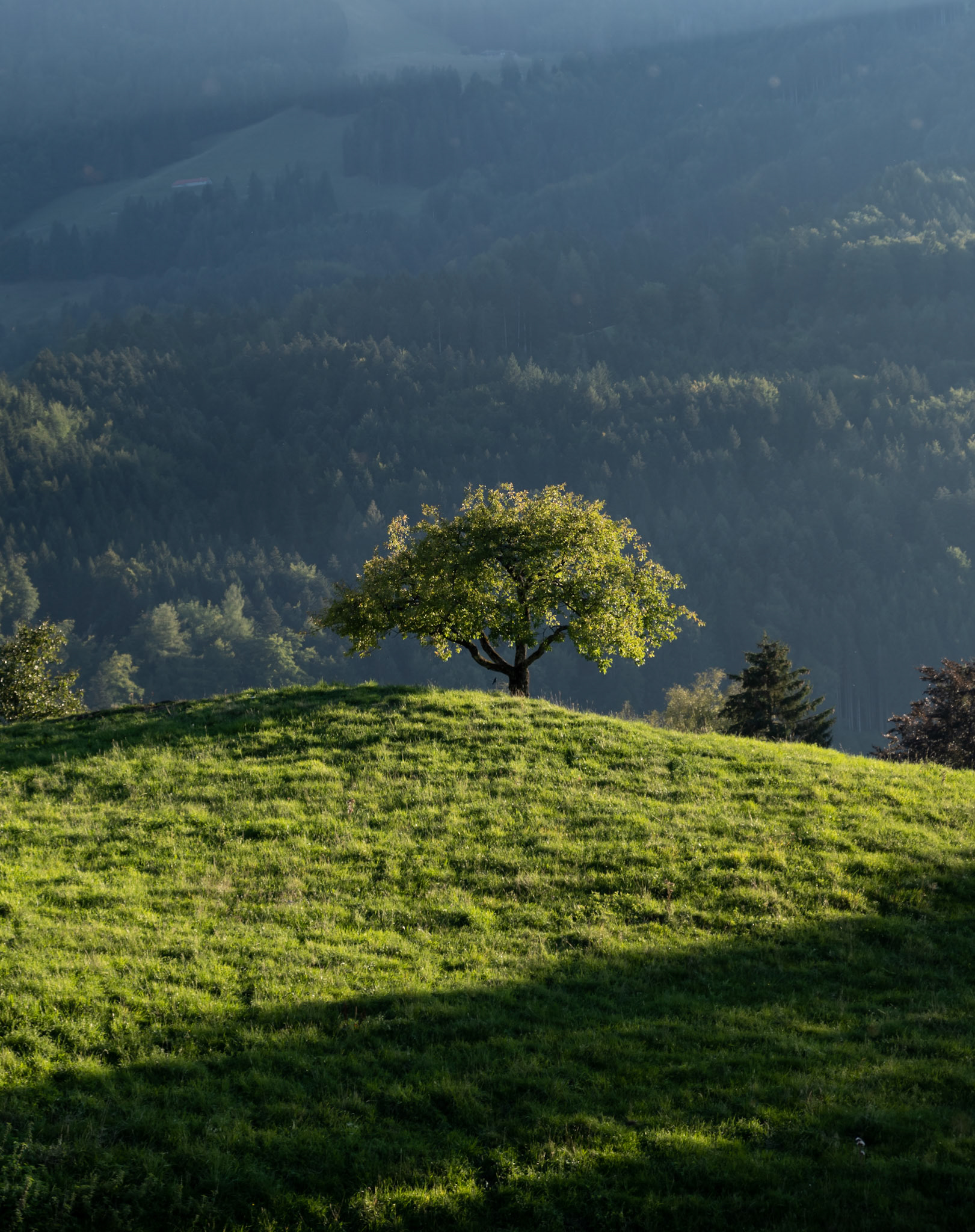 gruyere | 22.09.2022
