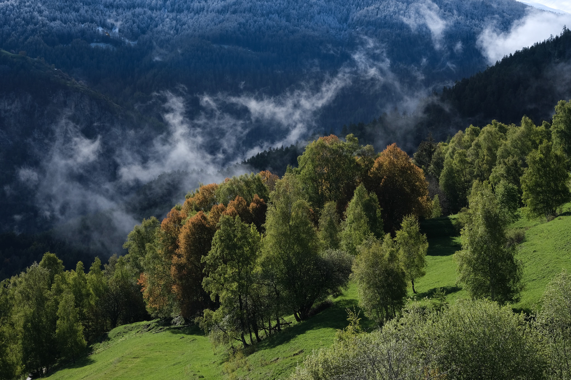valais | may