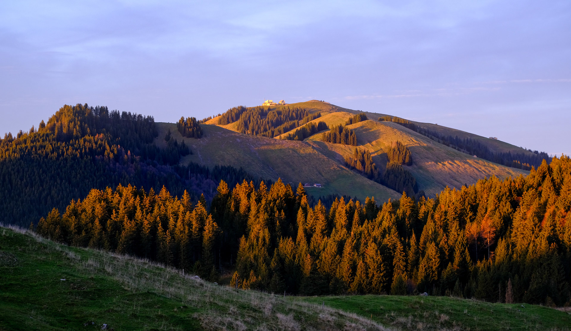 feed | eastern switzerland | 11.2022