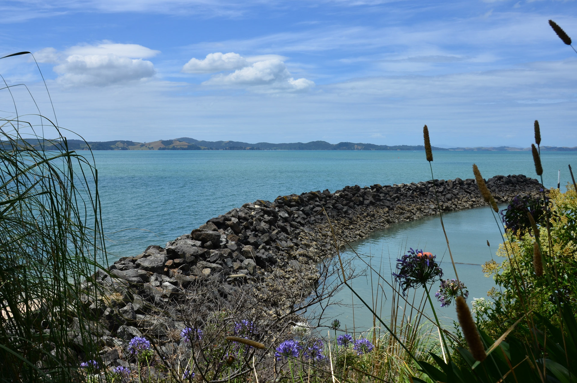whangārei | 19.01.2015