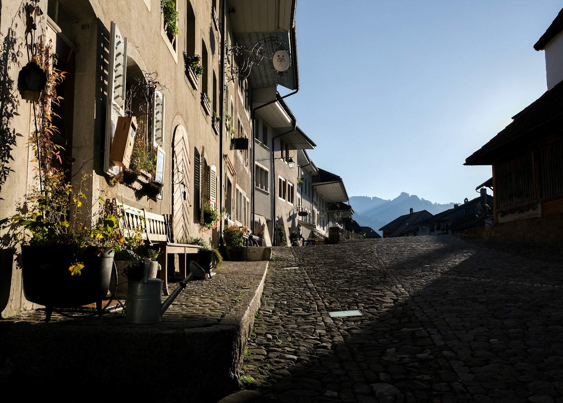 gruyère