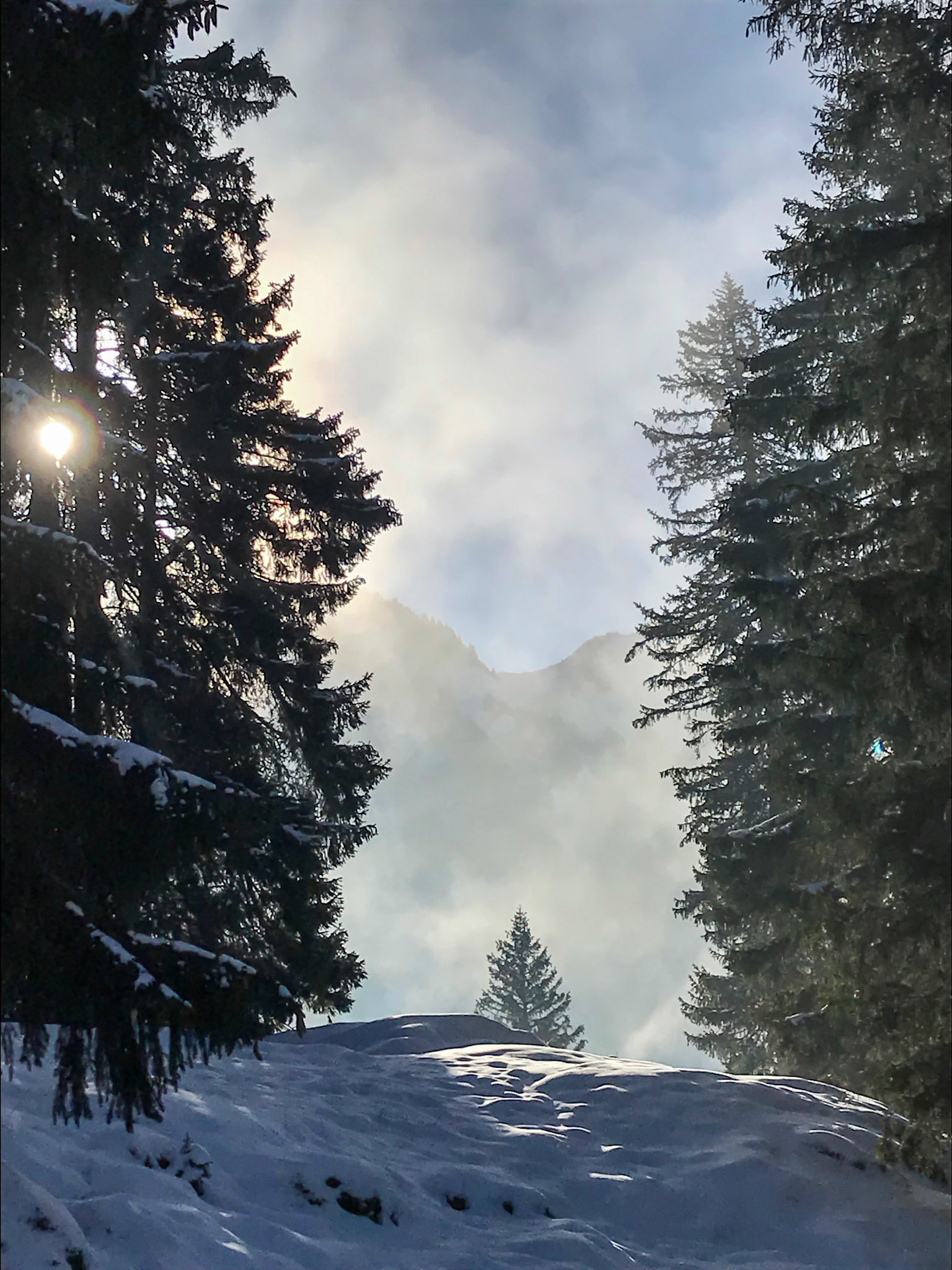 eastern switzerland | 14.12.18