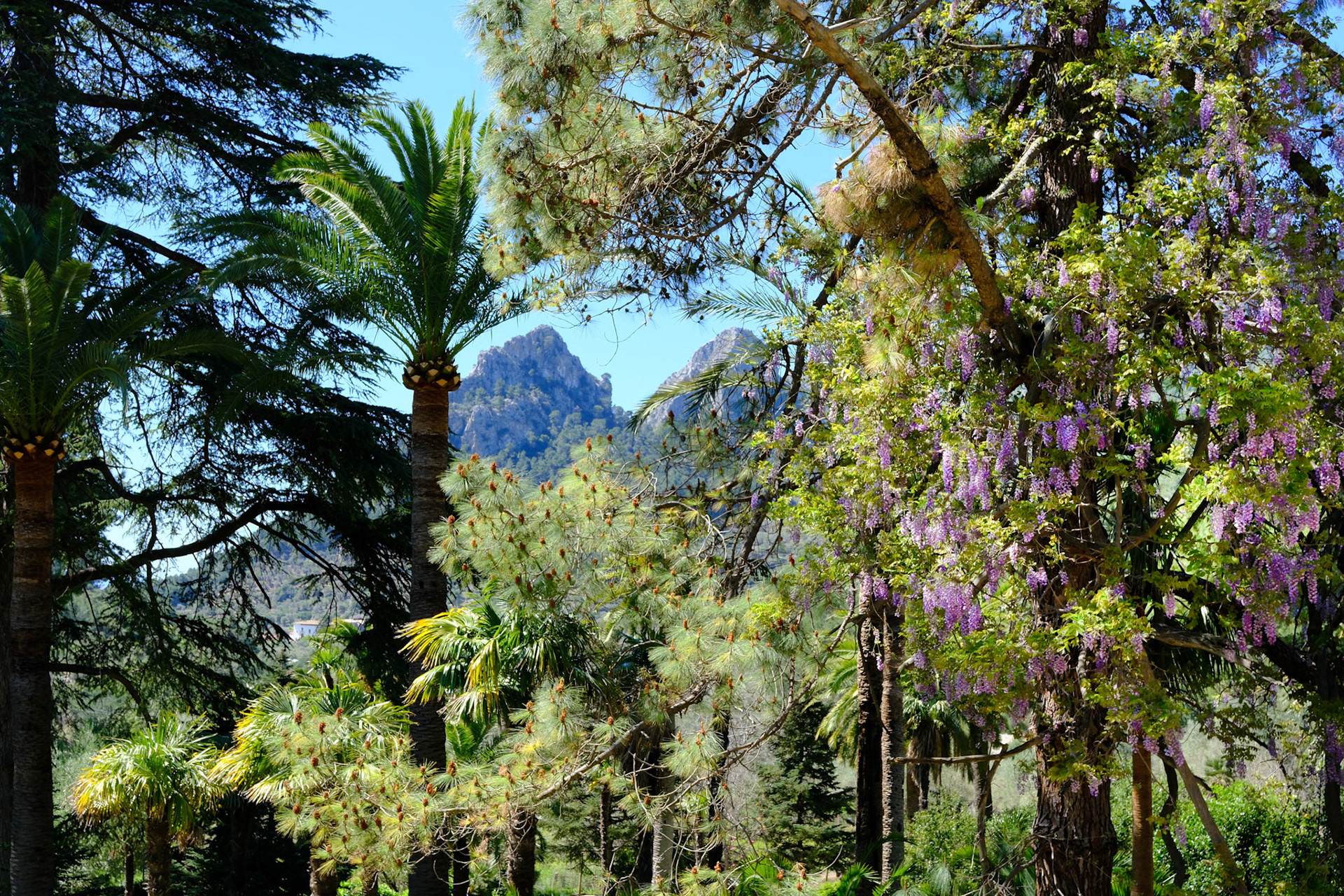 jardins d'alfàbia