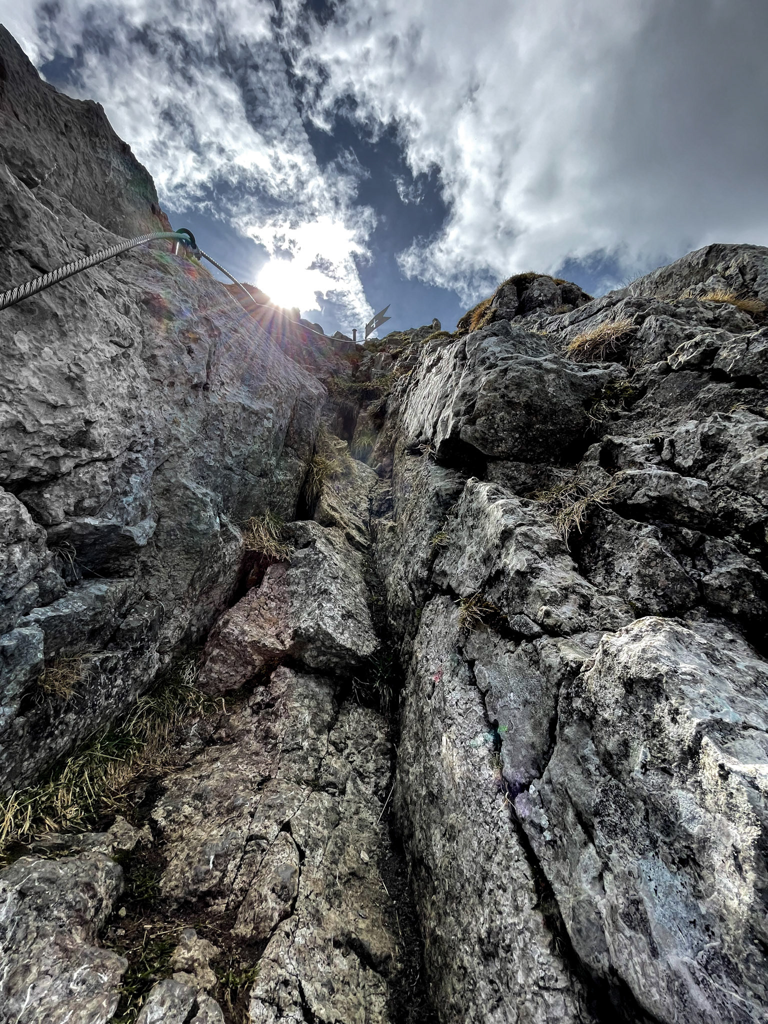 feed | eastern switzerland | 05.2022